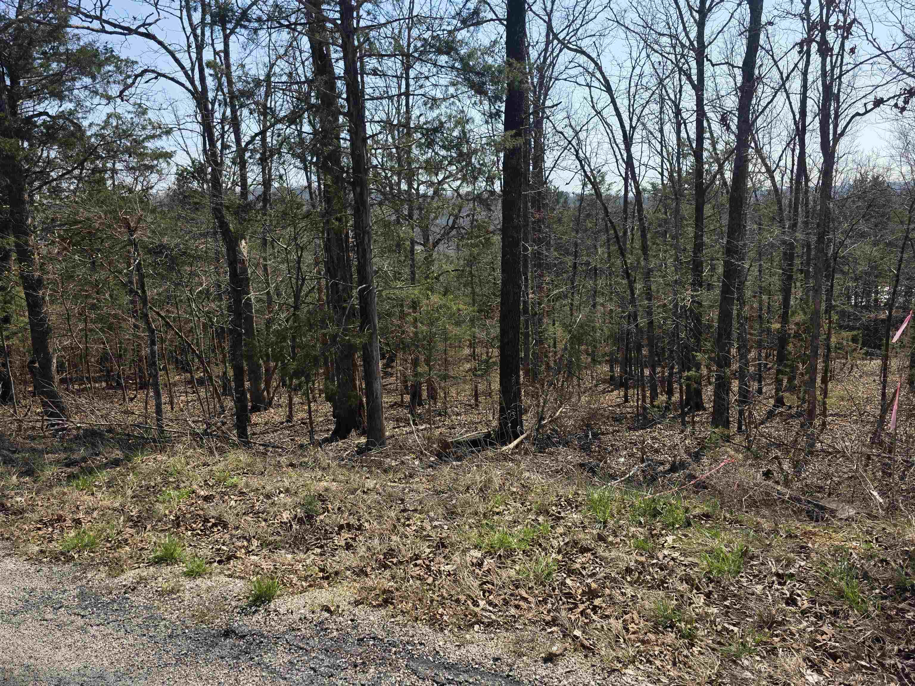 L31 B3 Ohew  Cherokee Village, AR