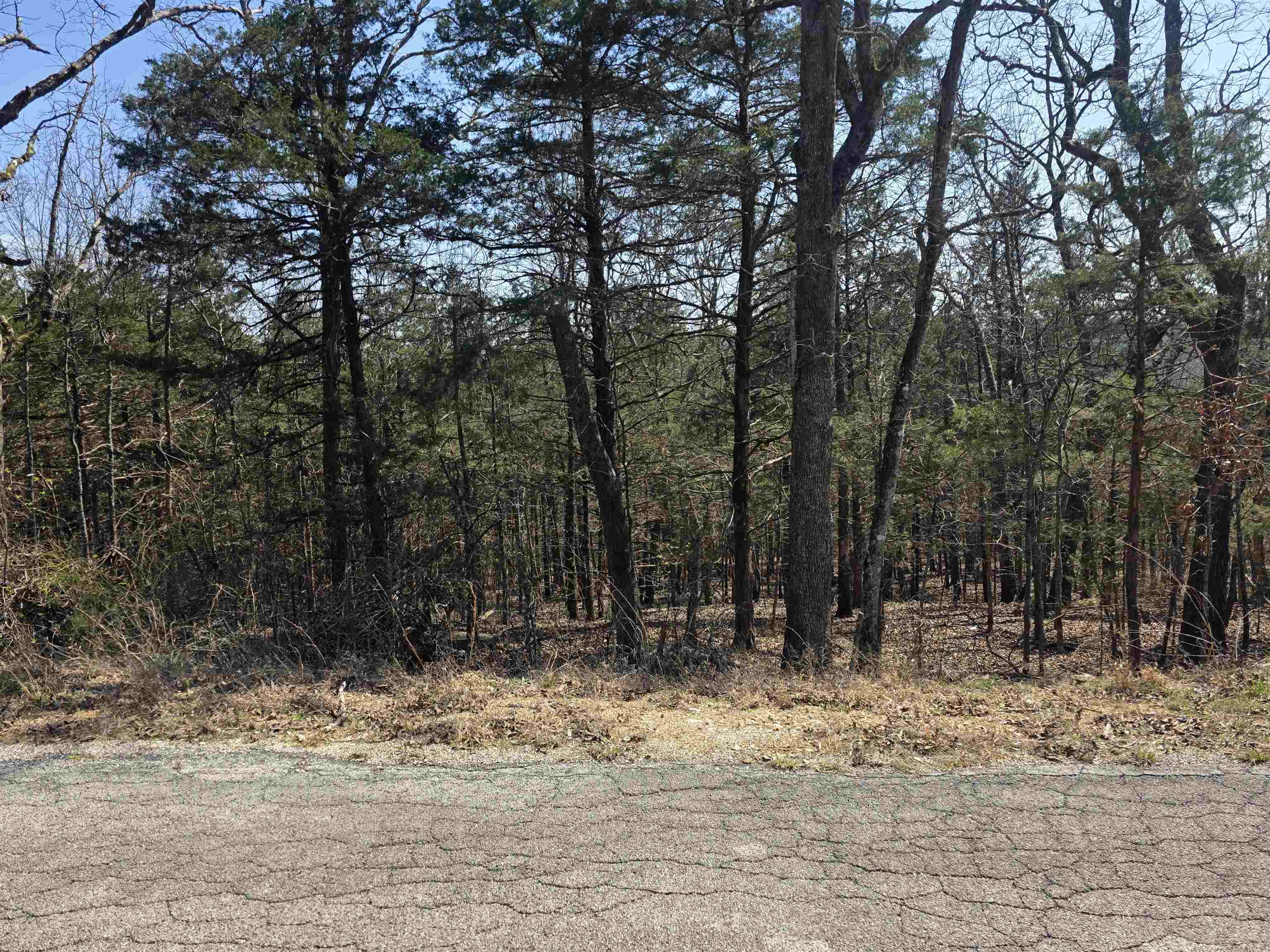 L28 B3 Ohew  Cherokee Village, AR