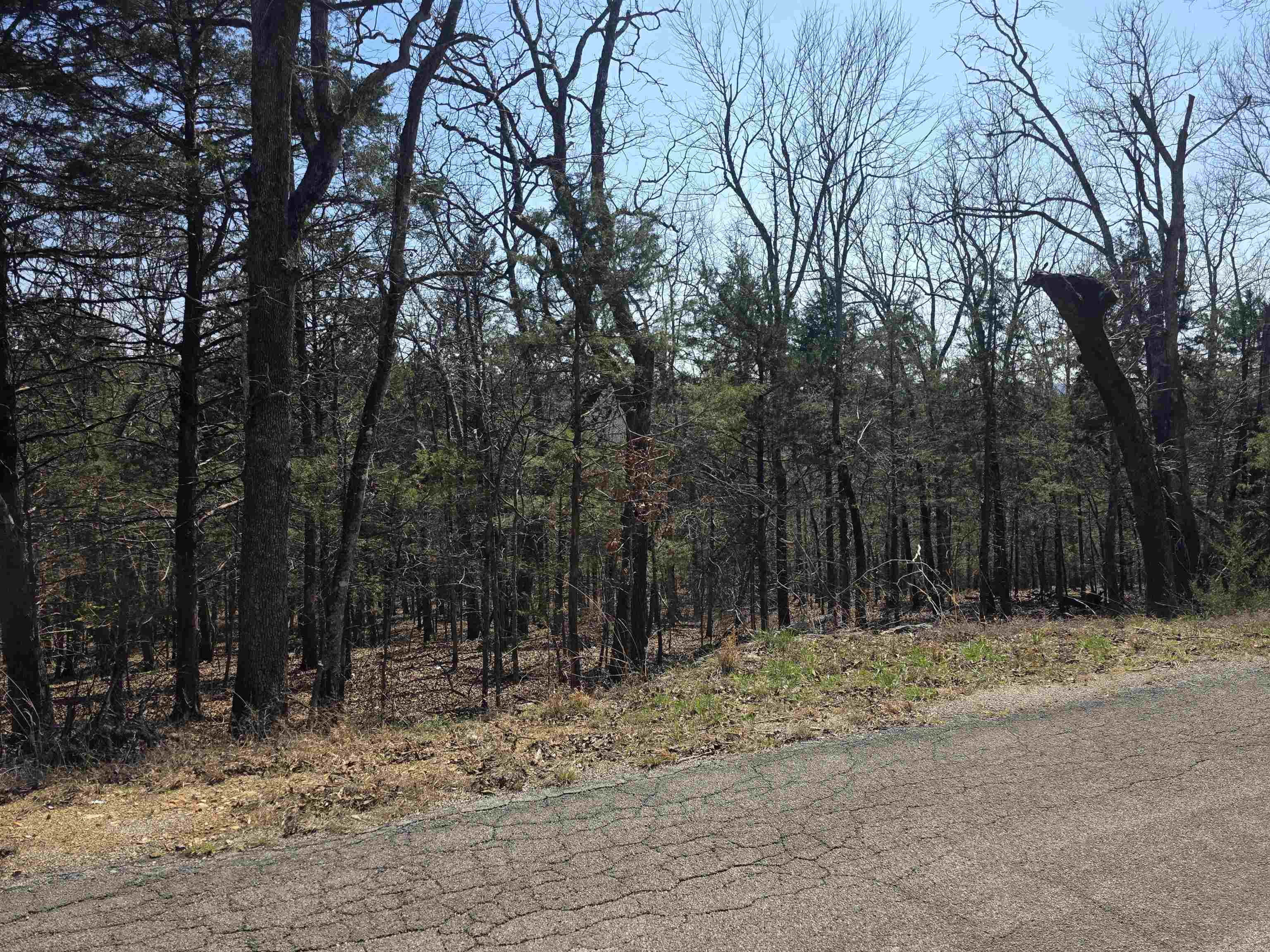 L28 B3 Ohew  Cherokee Village, AR