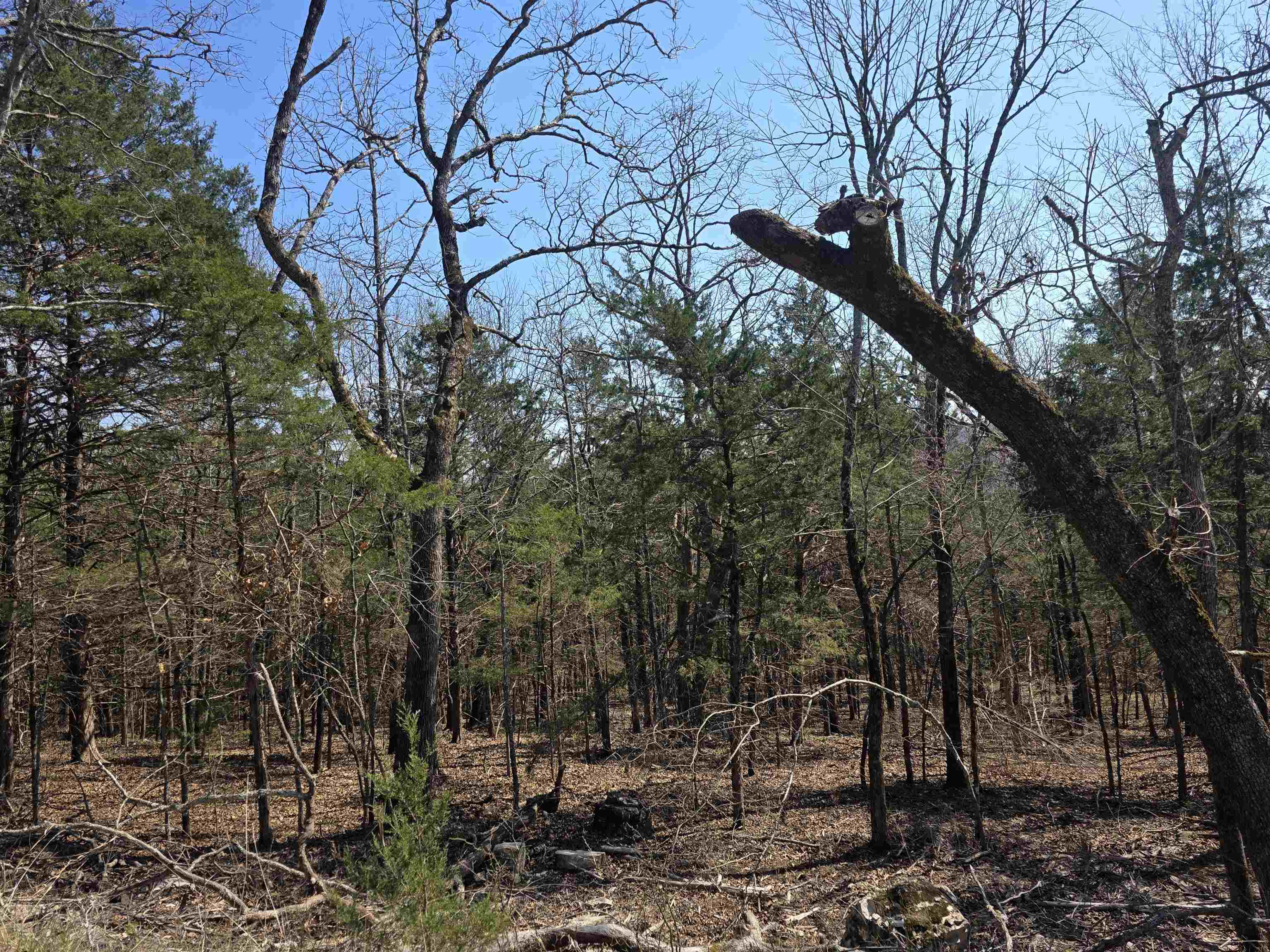 L28 B3 Ohew  Cherokee Village, AR