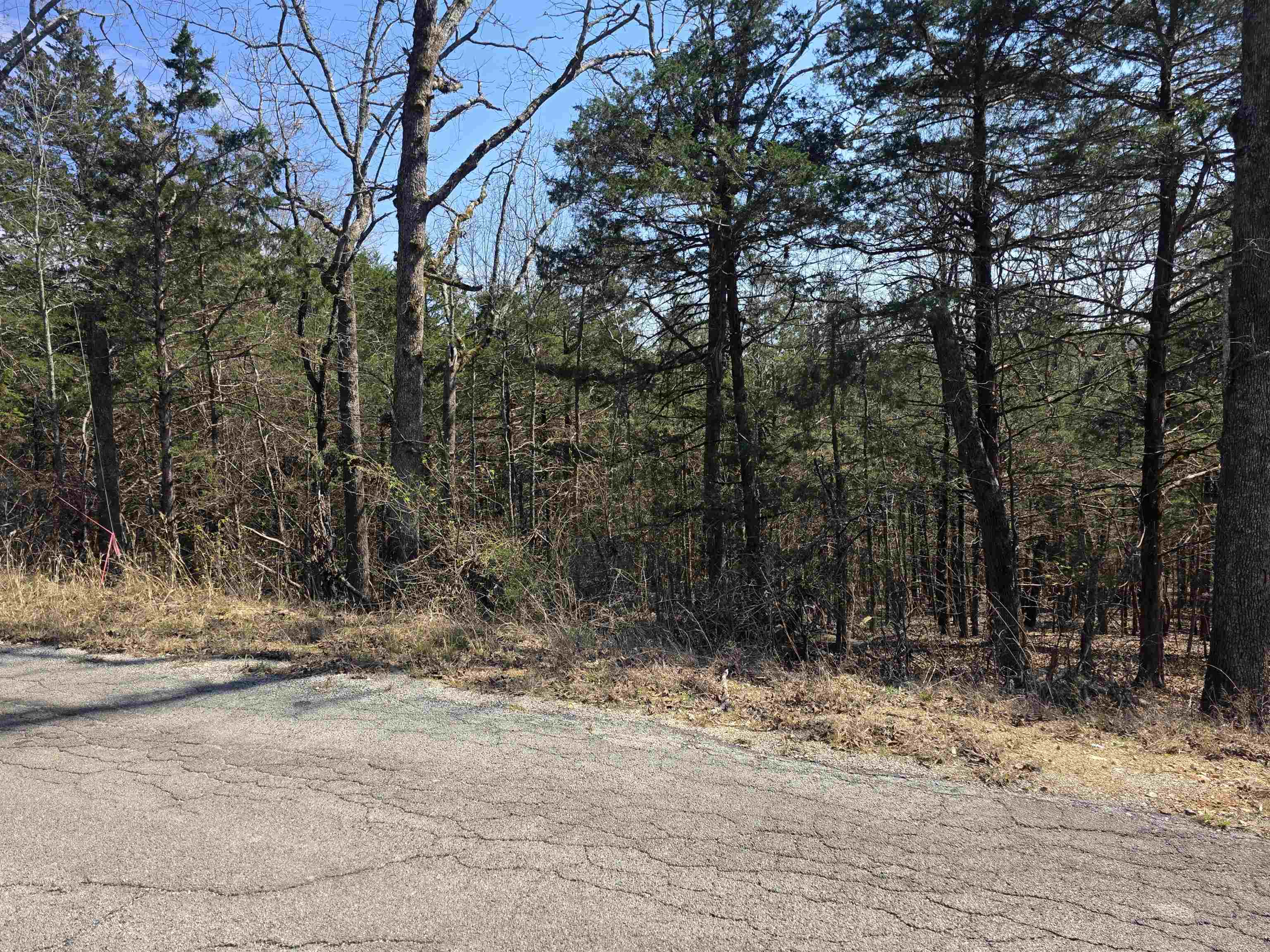 L28 B3 Ohew  Cherokee Village, AR