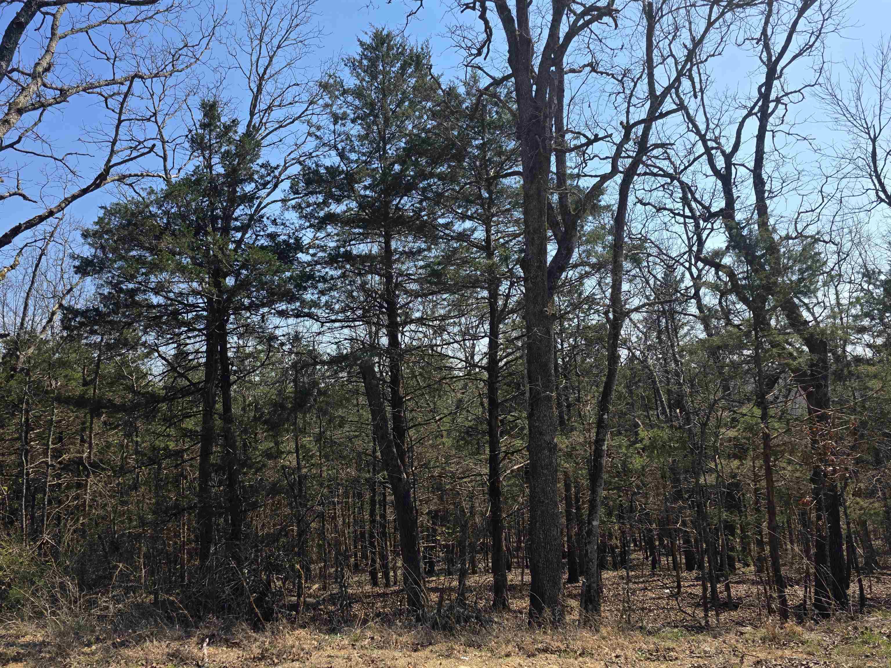 L28 B3 Ohew  Cherokee Village, AR