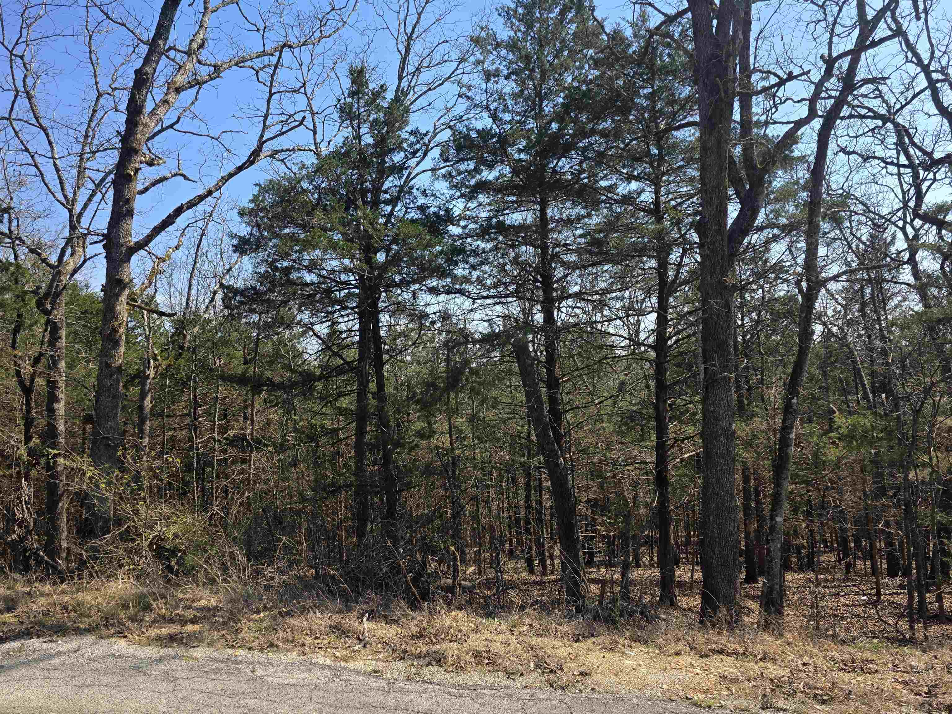 L28 B3 Ohew  Cherokee Village, AR