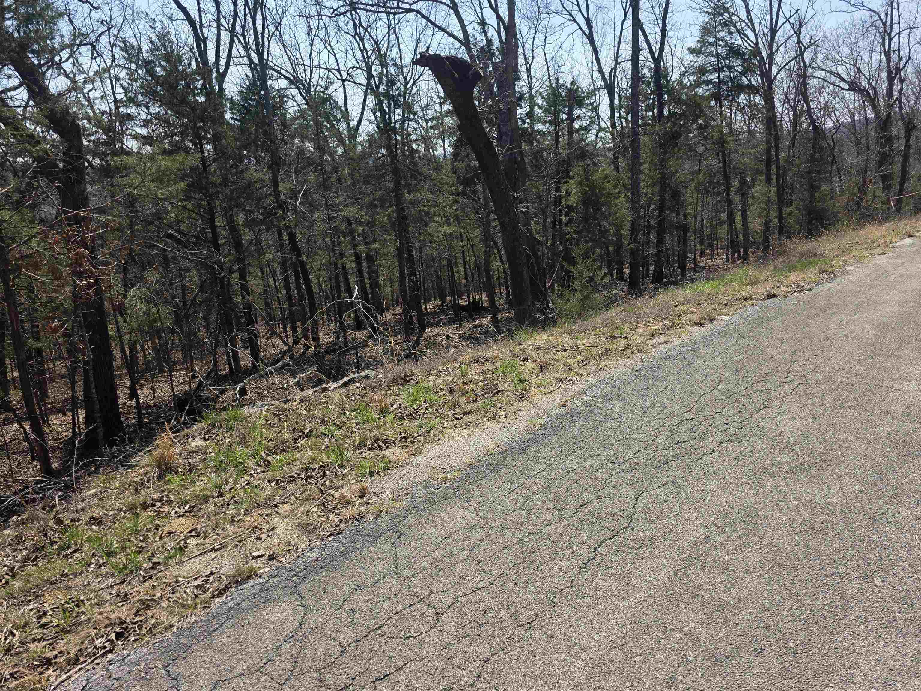 L28 B3 Ohew  Cherokee Village, AR