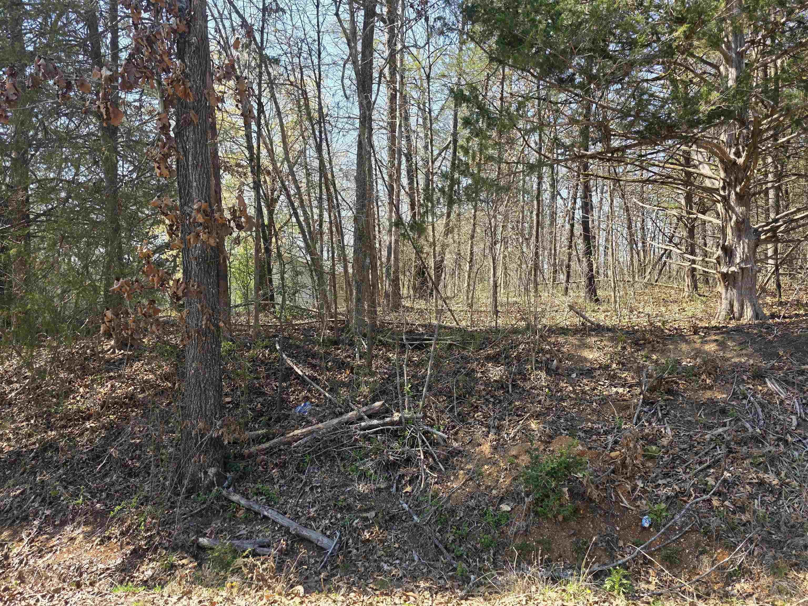 L5 B3 Kewe  Cherokee Village, AR