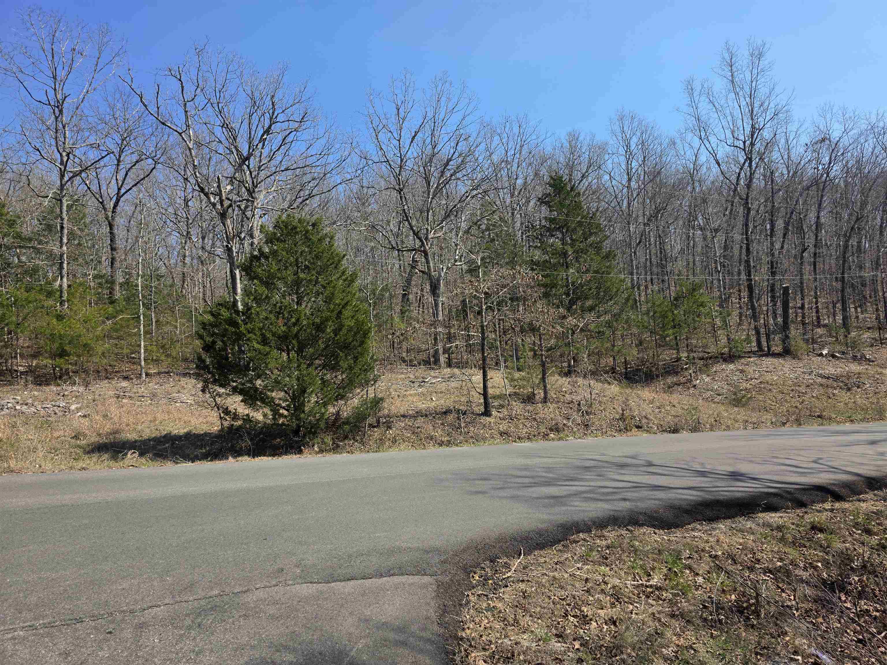 L3 B5 Flathead  Cherokee Village, AR