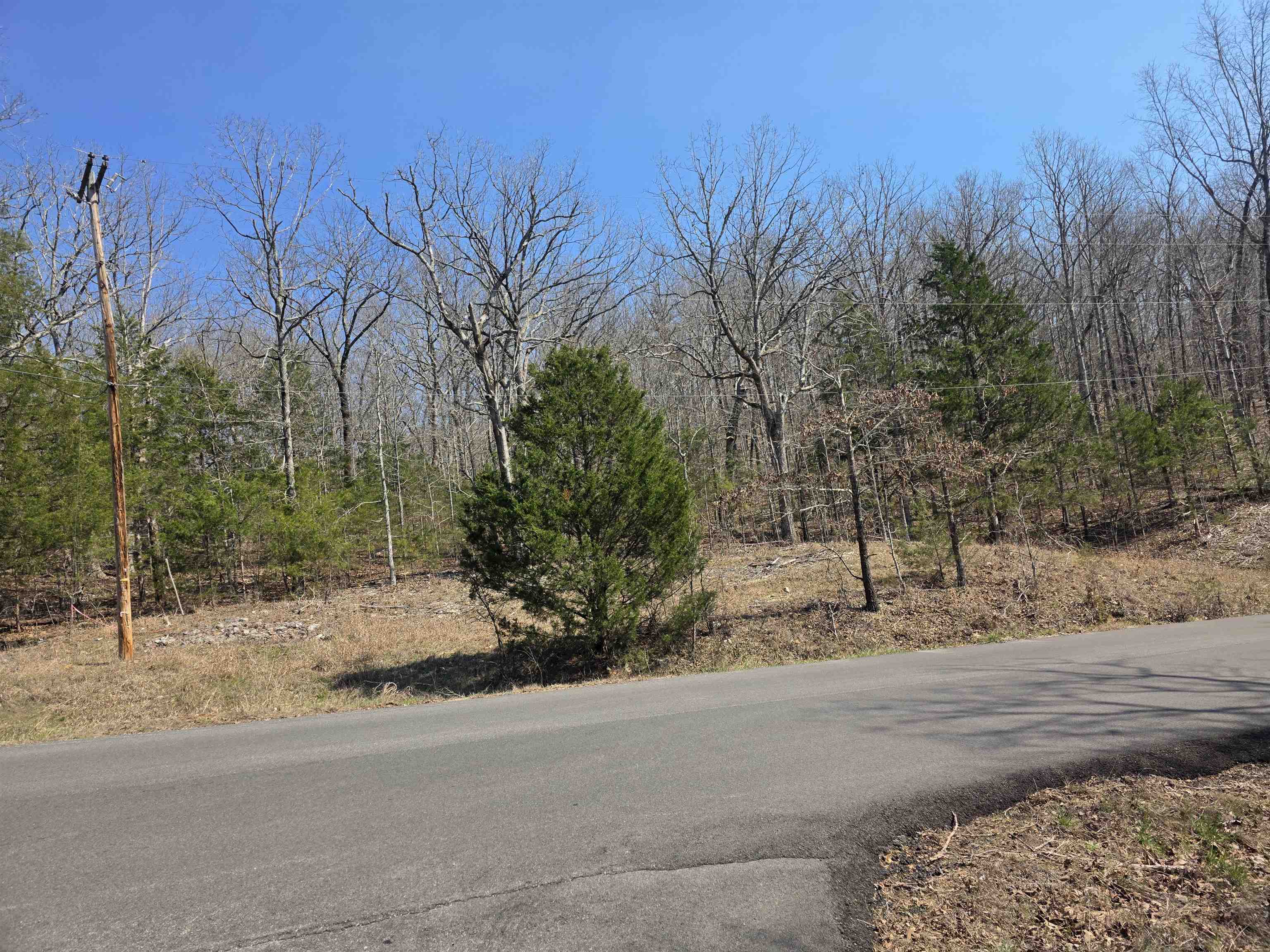 L3 B5 Flathead  Cherokee Village, AR