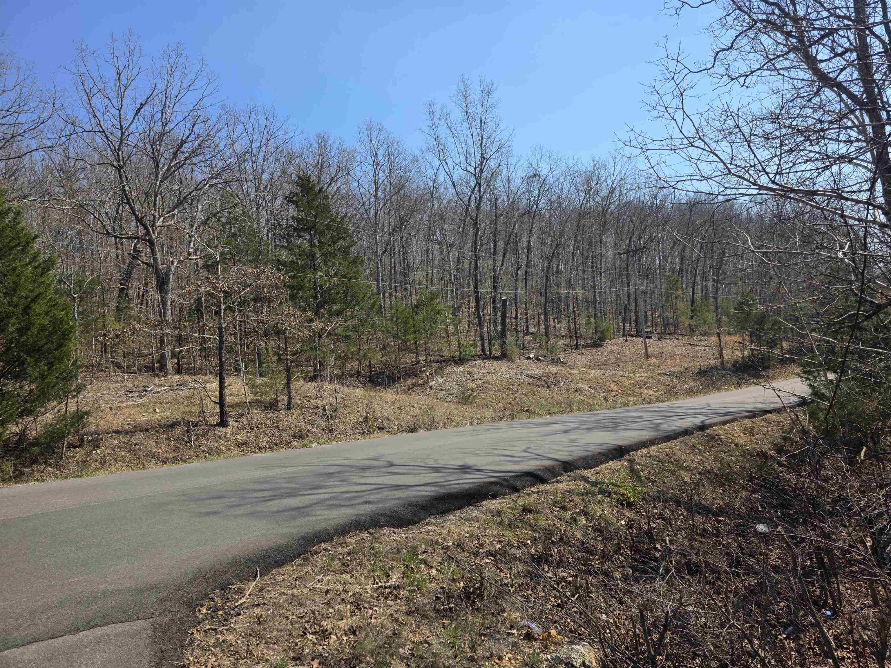 L3 B5 Flathead  Cherokee Village, AR