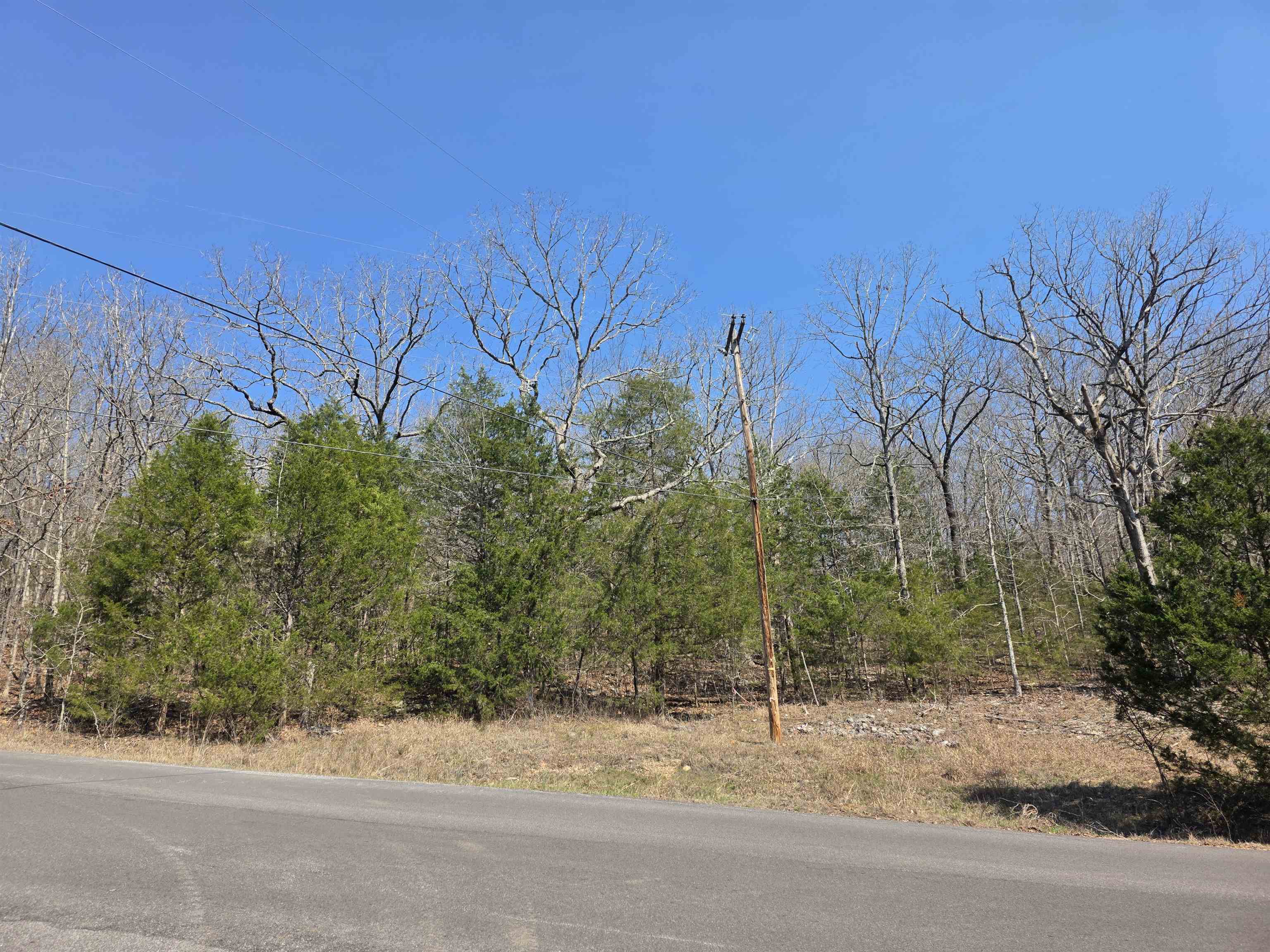 L3 B5 Flathead  Cherokee Village, AR