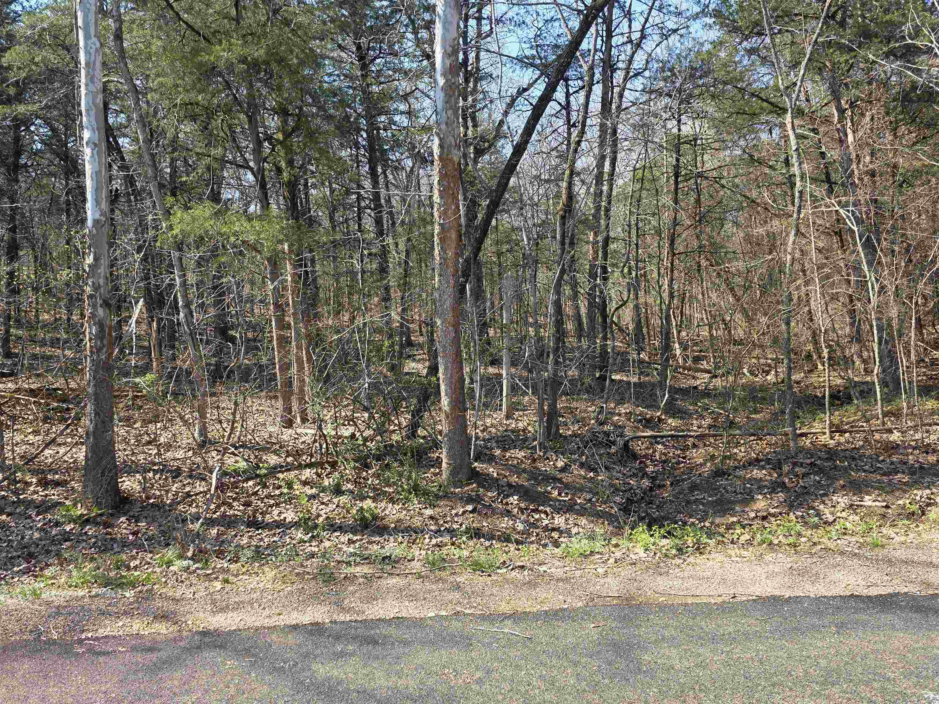 L35 B4 Nokonda  Cherokee Village, AR