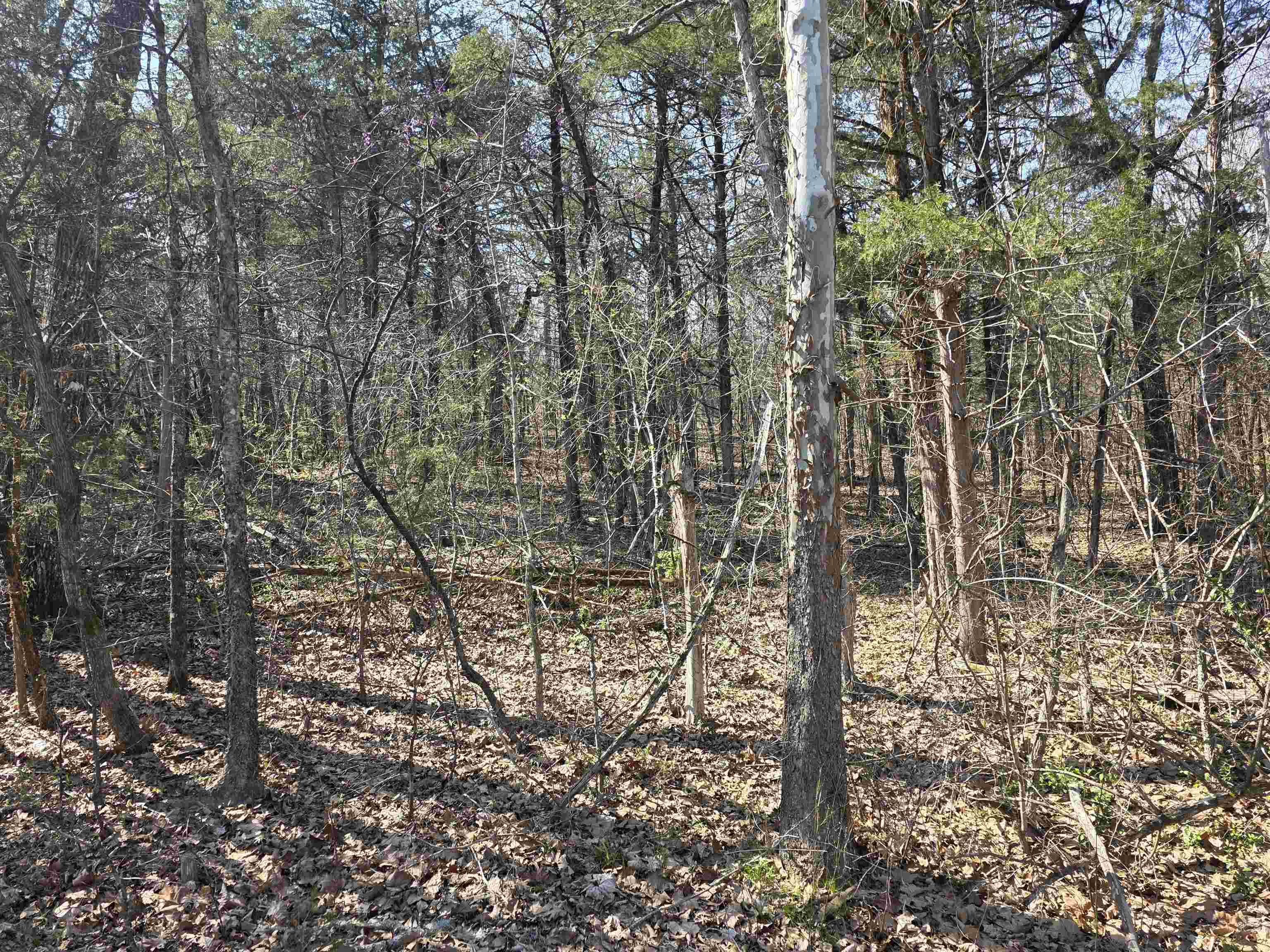 L35 B4 Nokonda  Cherokee Village, AR