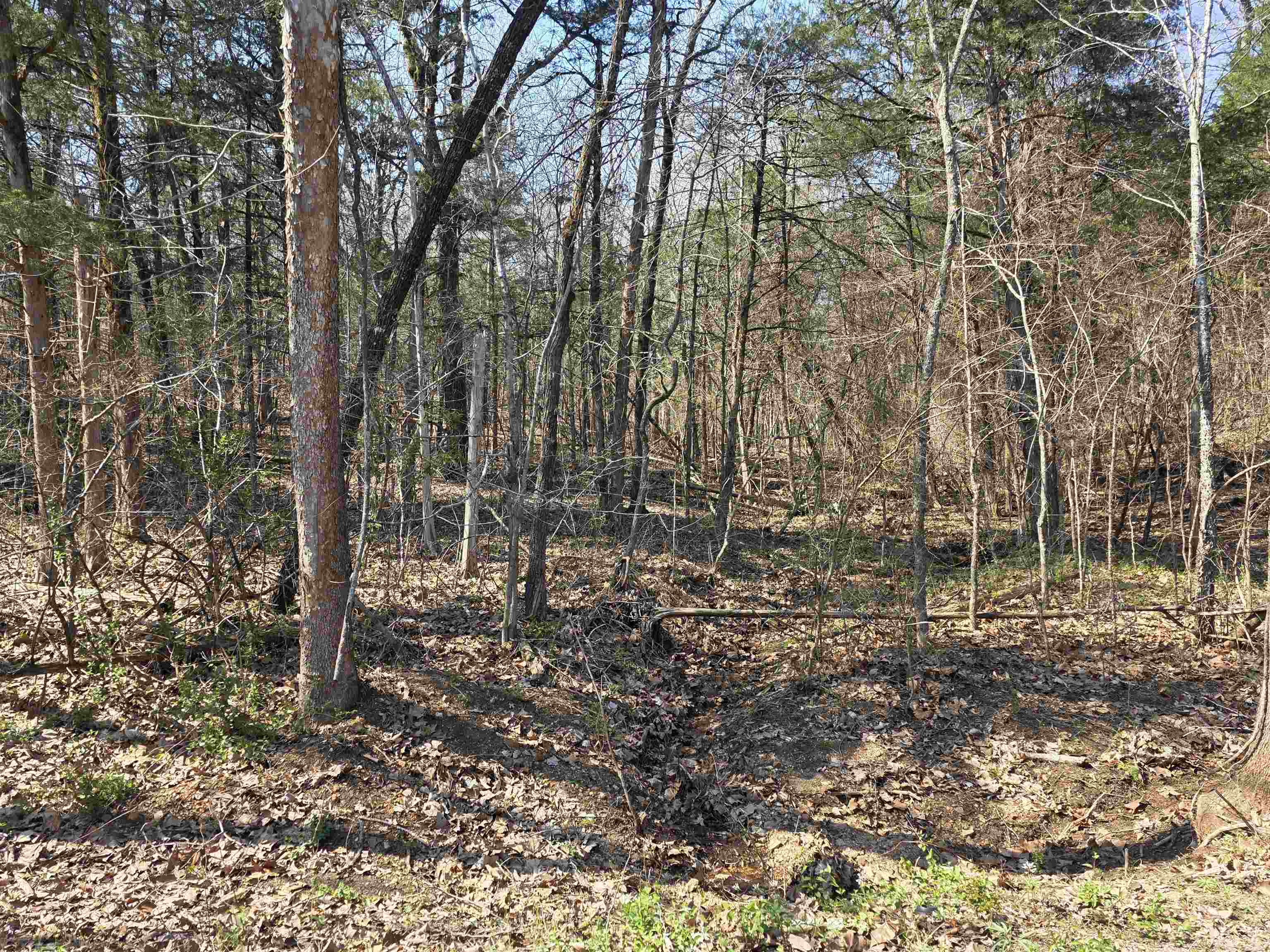 L35 B4 Nokonda  Cherokee Village, AR