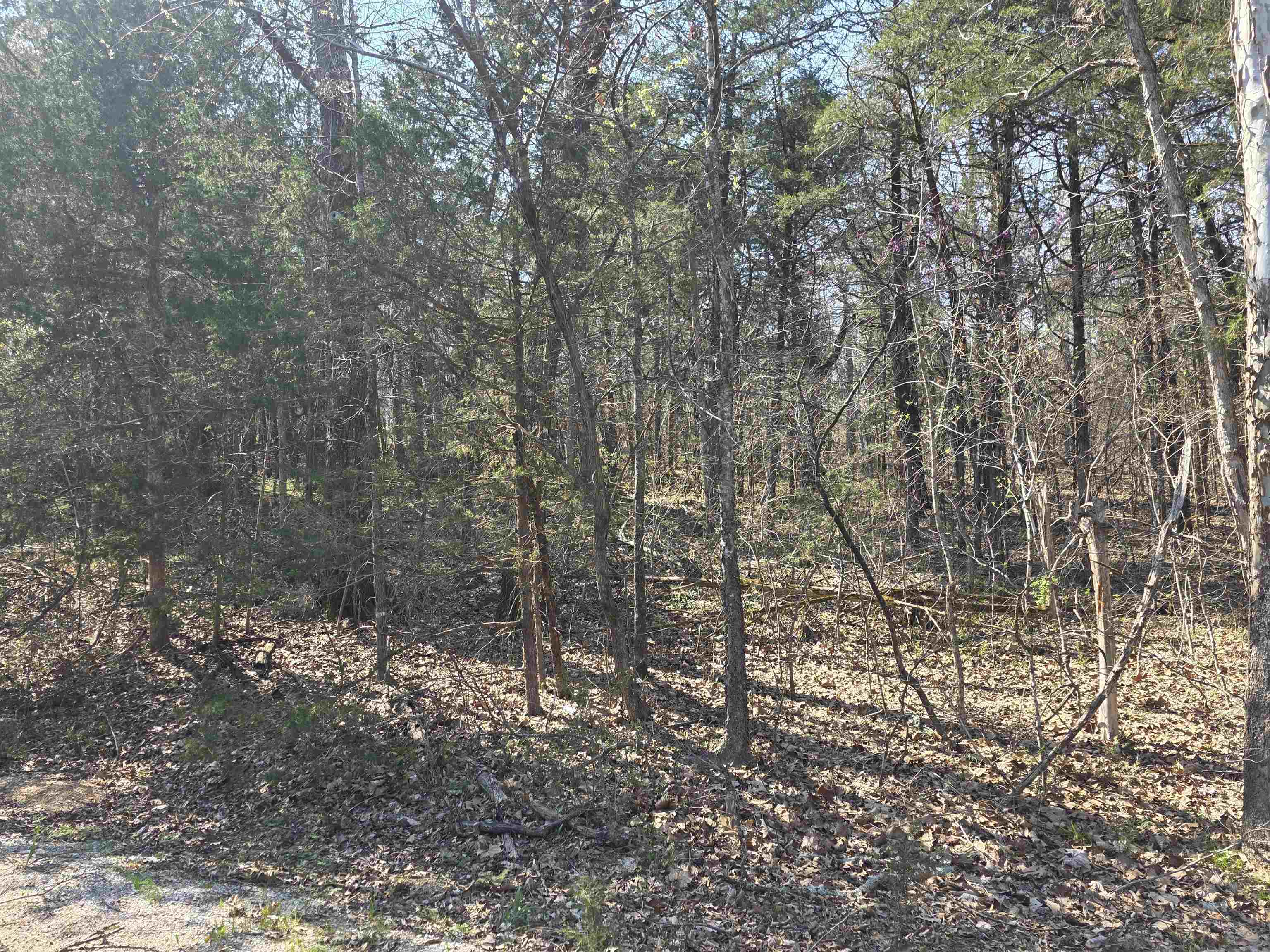 L35 B4 Nokonda  Cherokee Village, AR