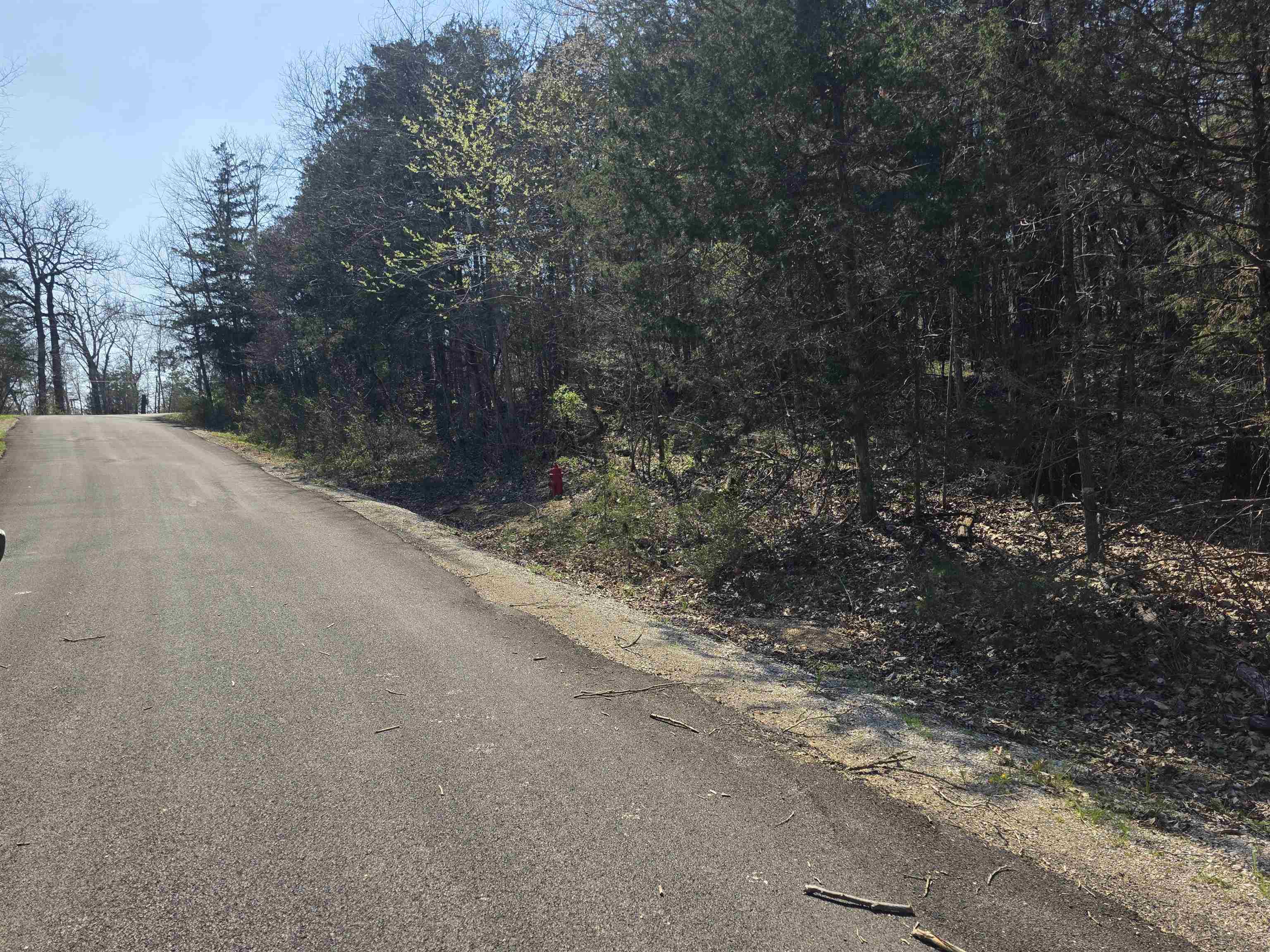 L35 B4 Nokonda  Cherokee Village, AR