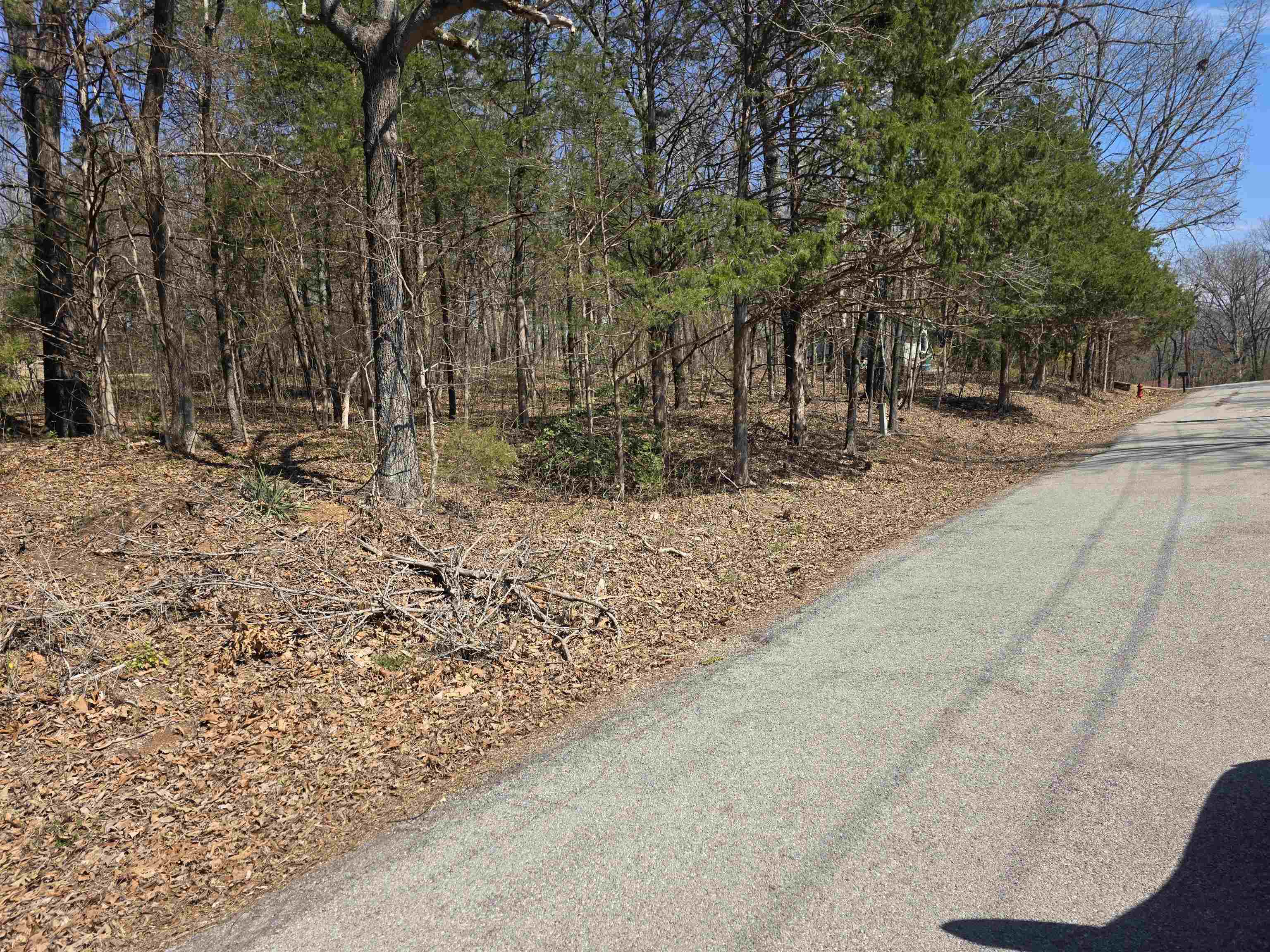 L2 B3 Nokonda  Cherokee Village, AR