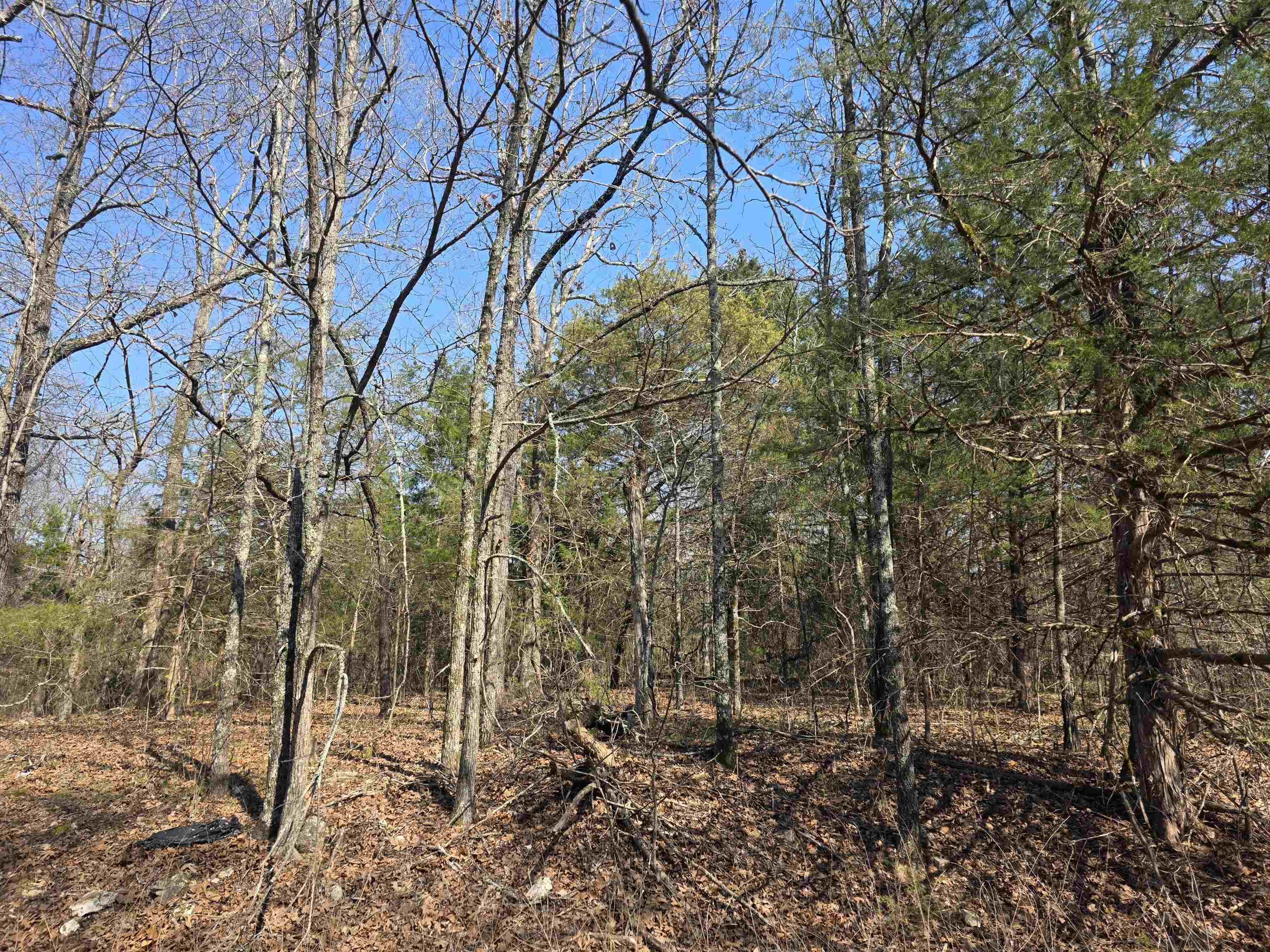 L3 B2 Inca  Cherokee Village, AR