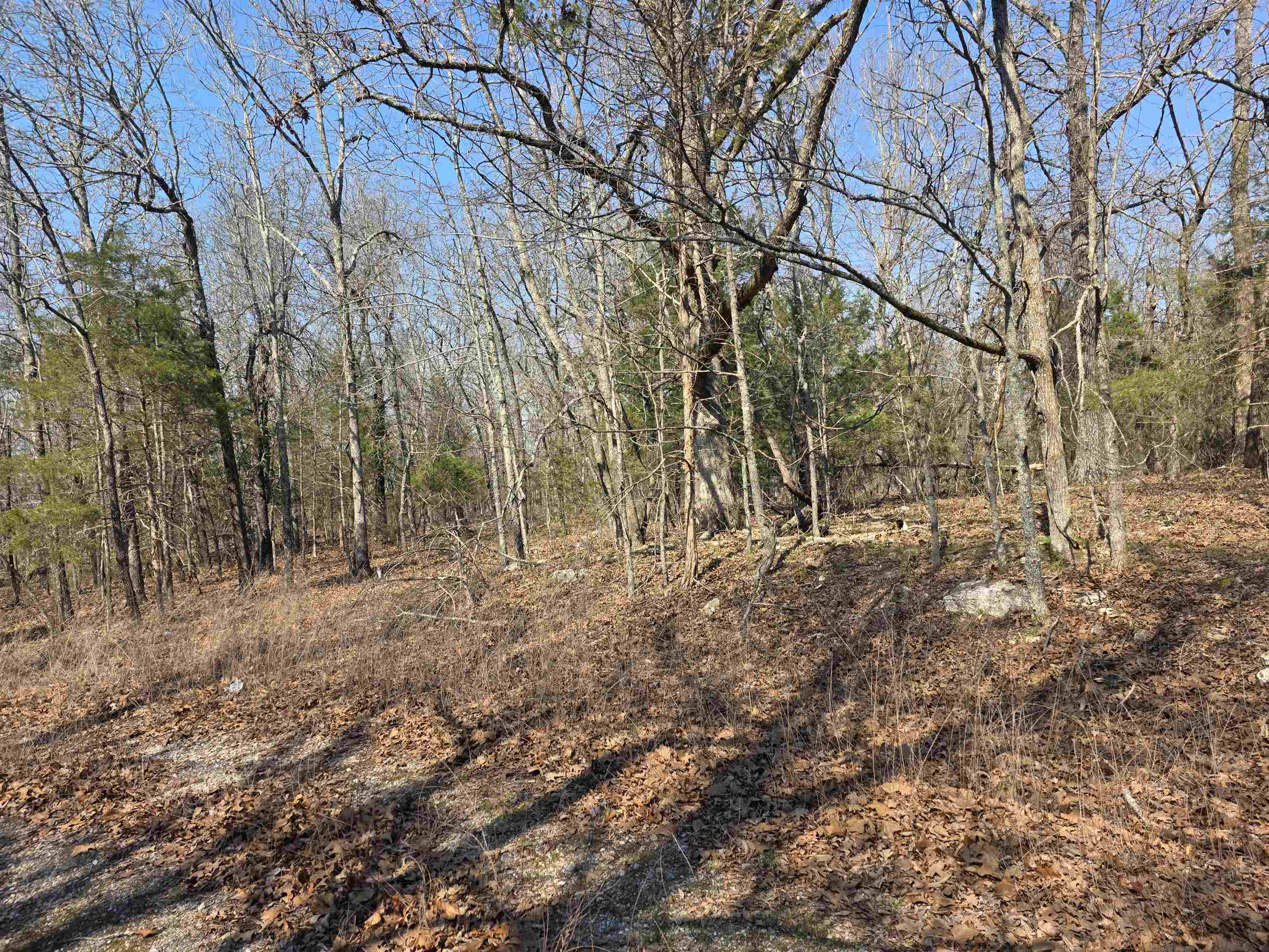 L3 B2 Inca  Cherokee Village, AR