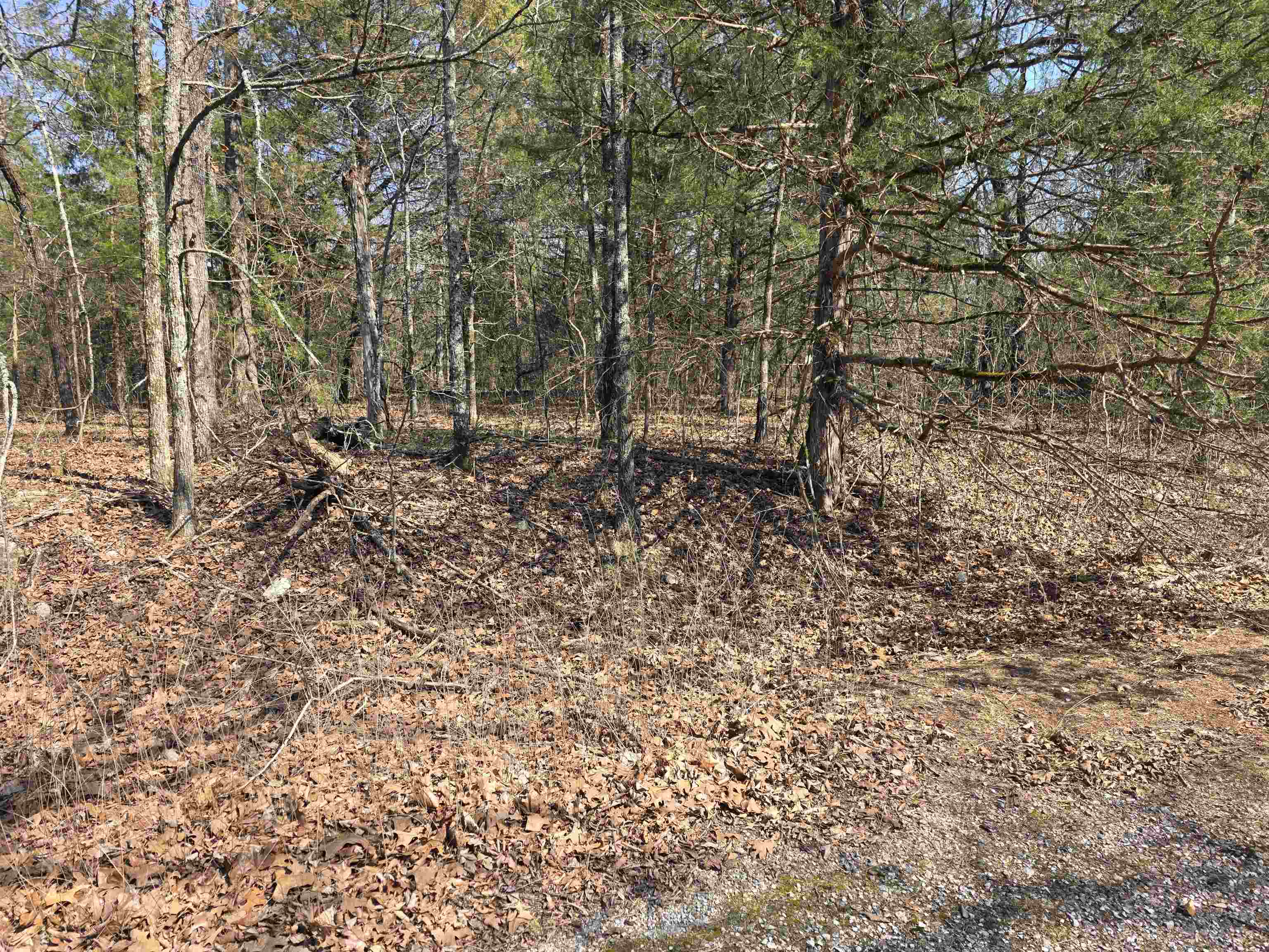 L3 B2 Inca  Cherokee Village, AR