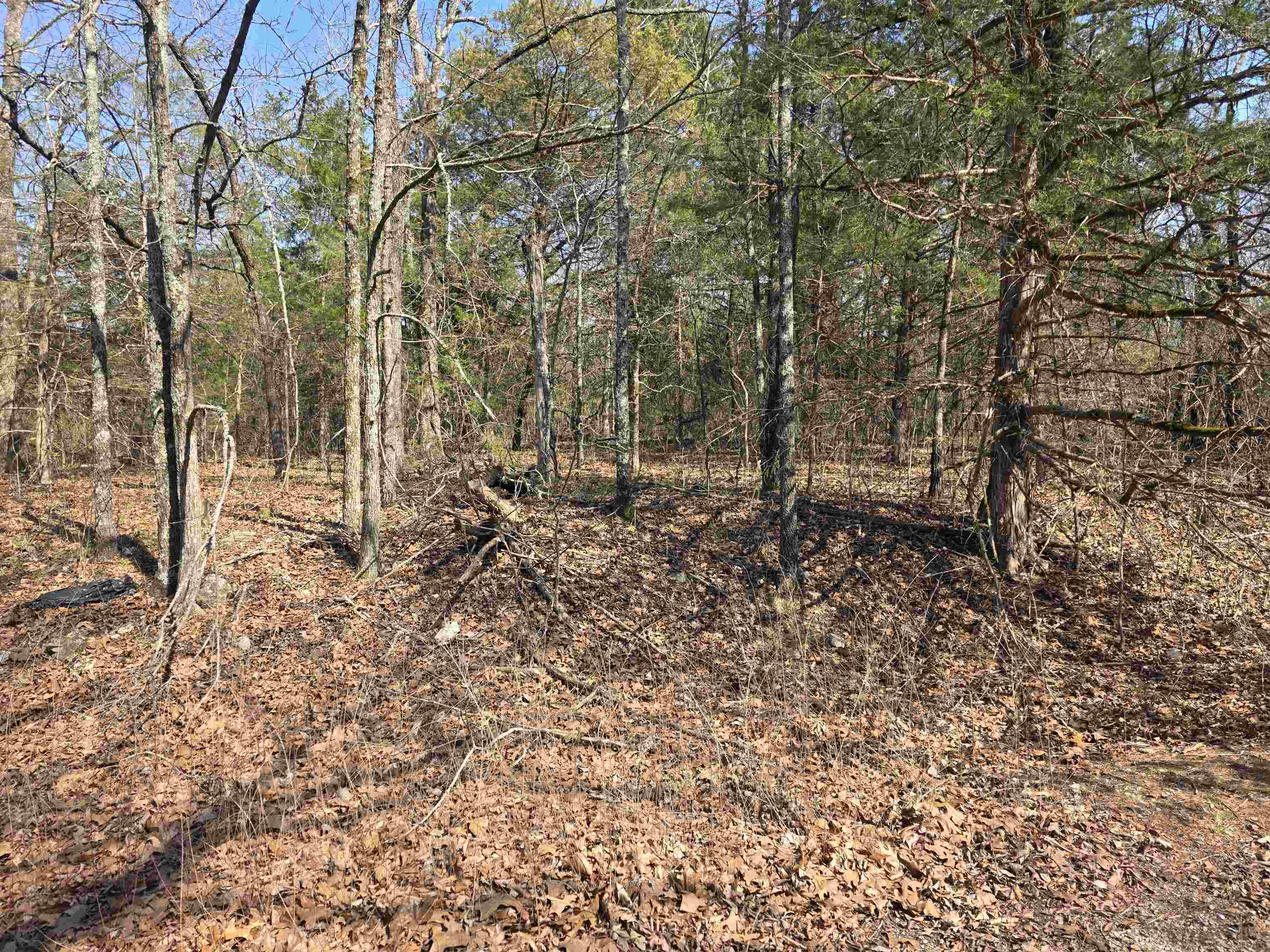 L3 B2 Inca  Cherokee Village, AR