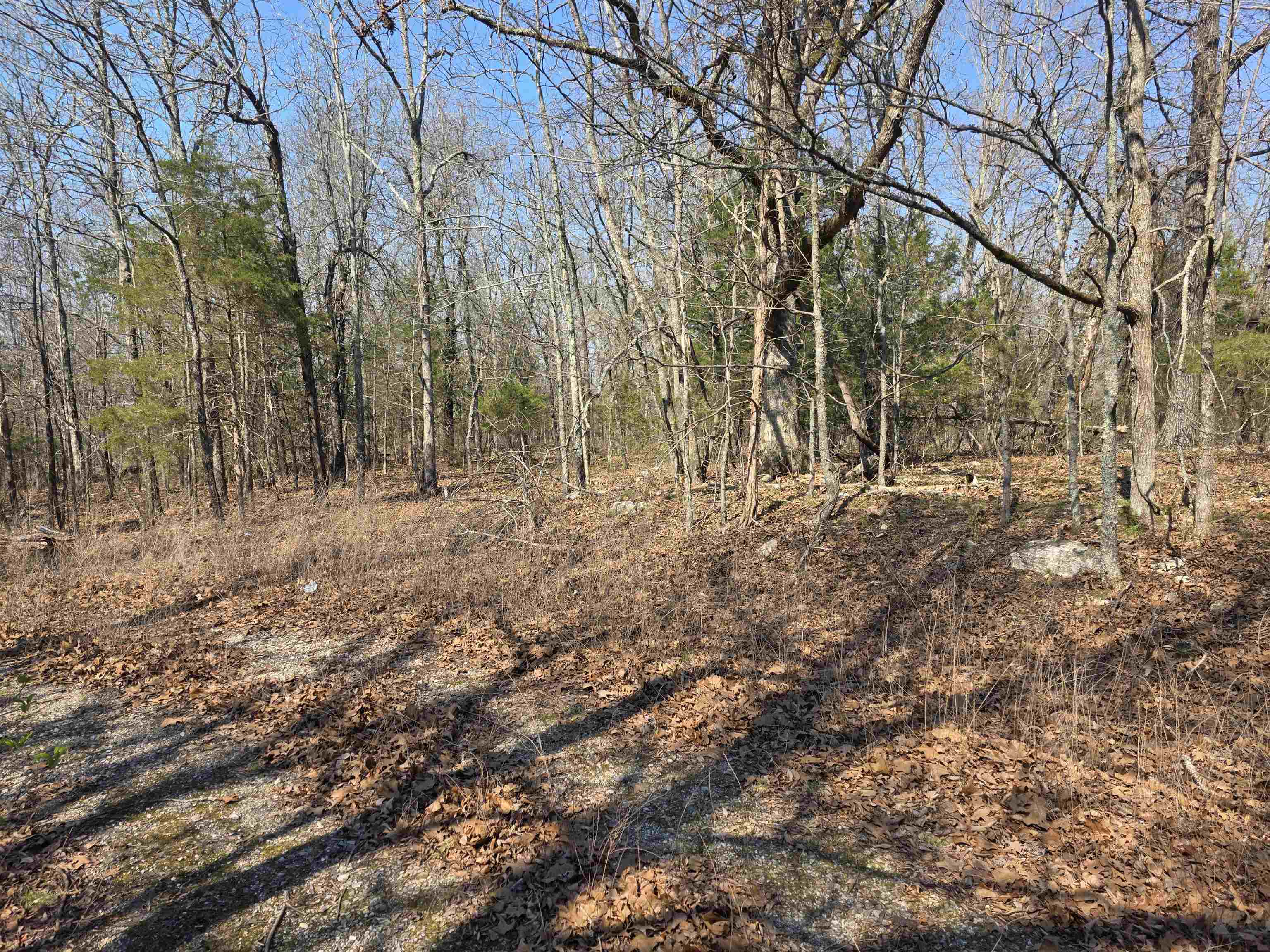 L3 B2 Inca  Cherokee Village, AR