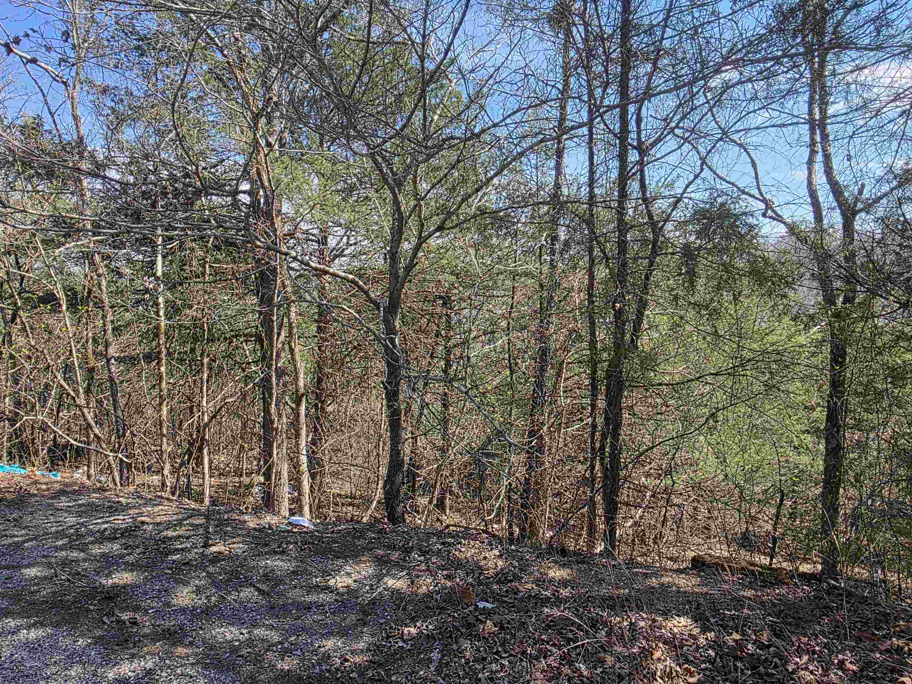 L24 B6 Chief Day Break  Cherokee Village, AR