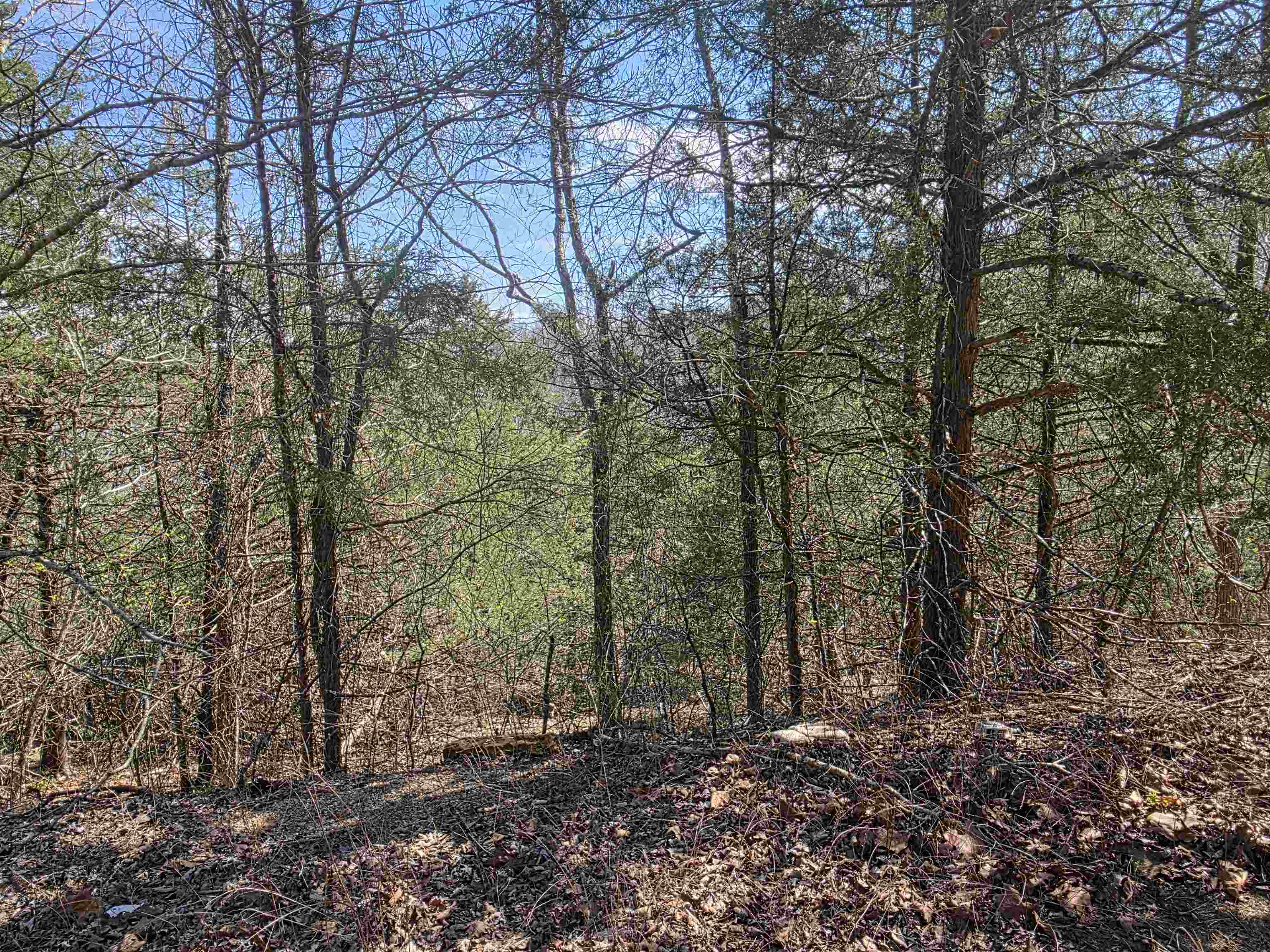 L24 B6 Chief Day Break  Cherokee Village, AR