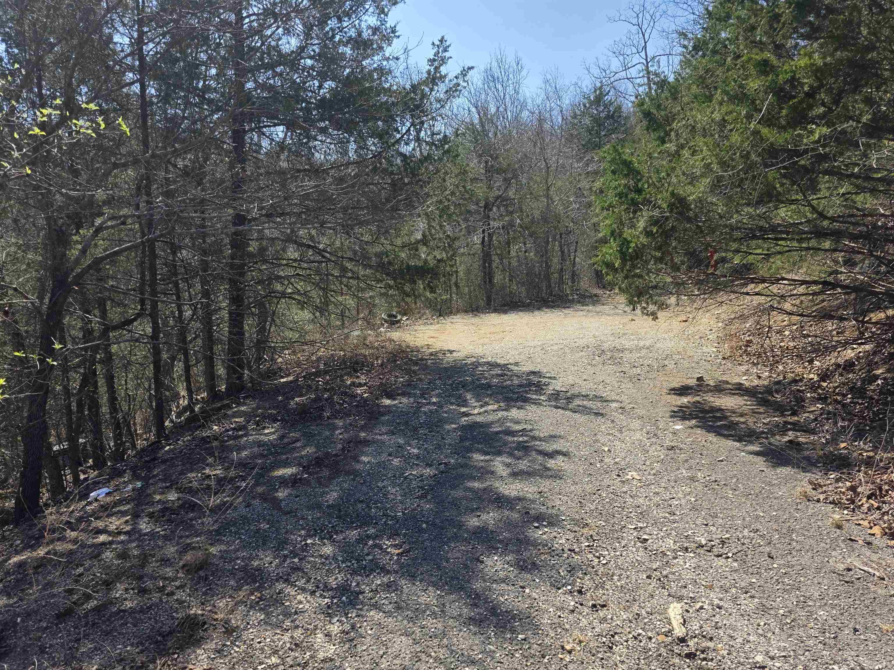 L24 B6 Chief Day Break  Cherokee Village, AR