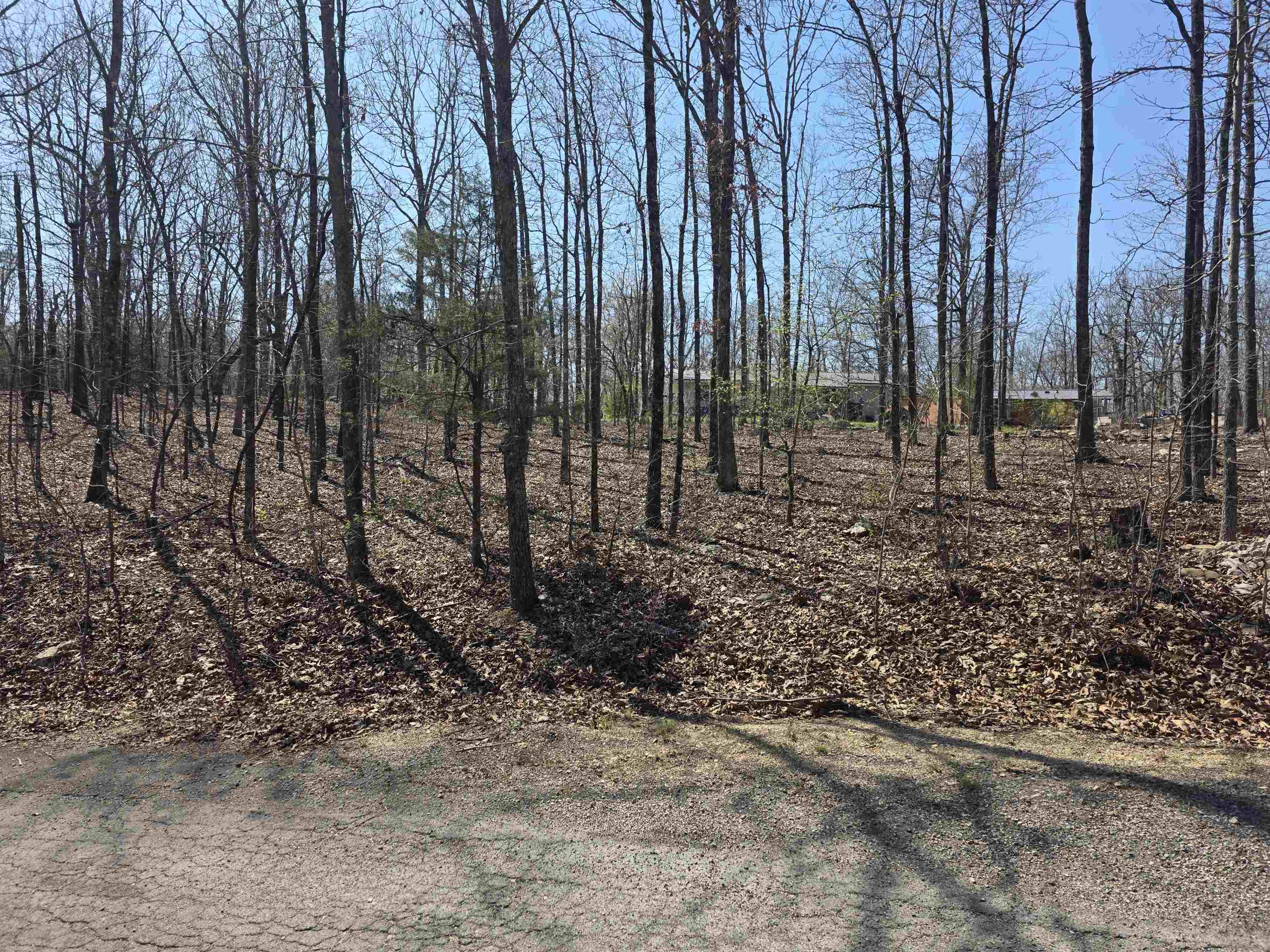 L12 B5 Deer Run  Cherokee Village, AR