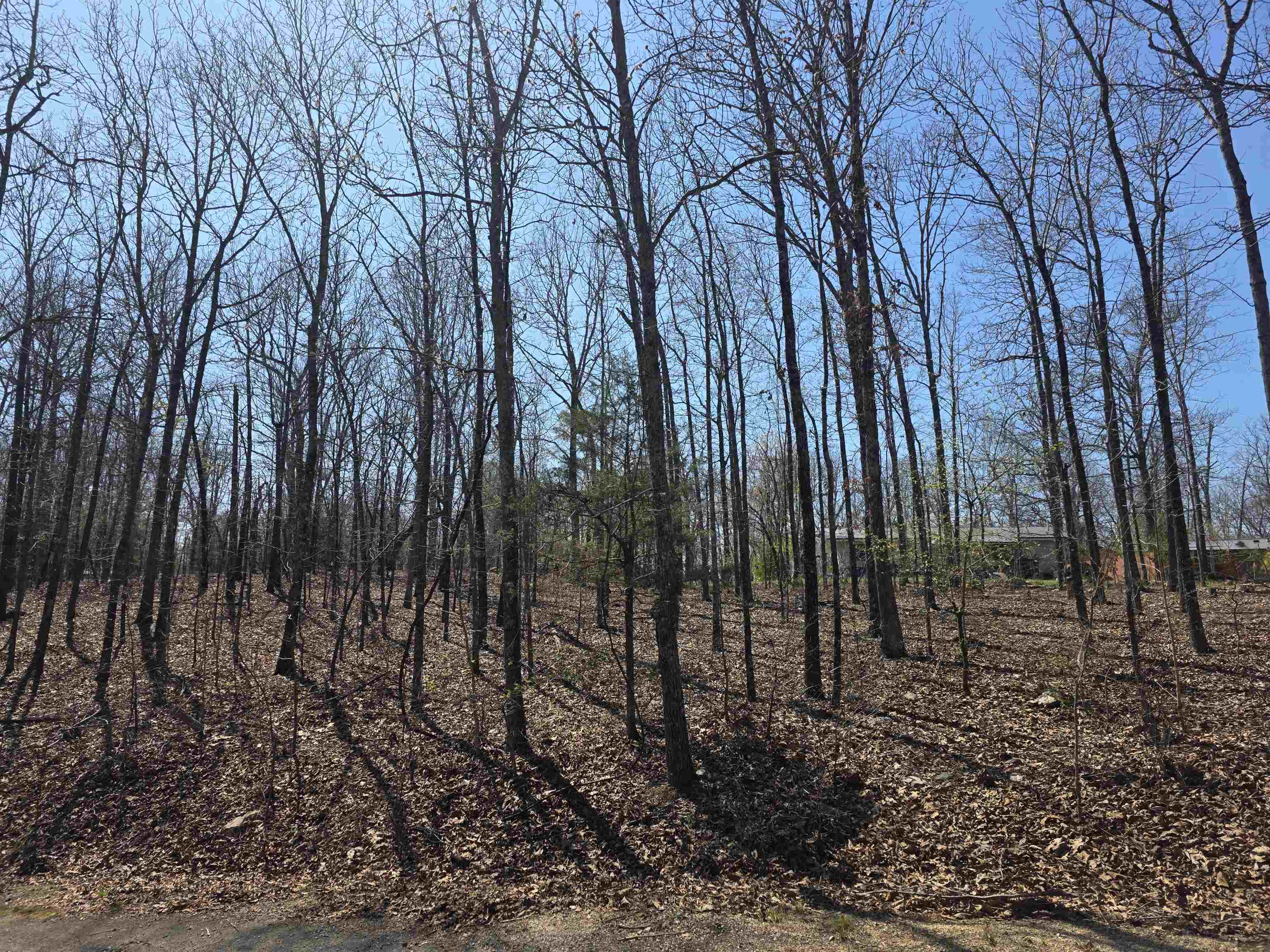 L12 B5 Deer Run  Cherokee Village, AR