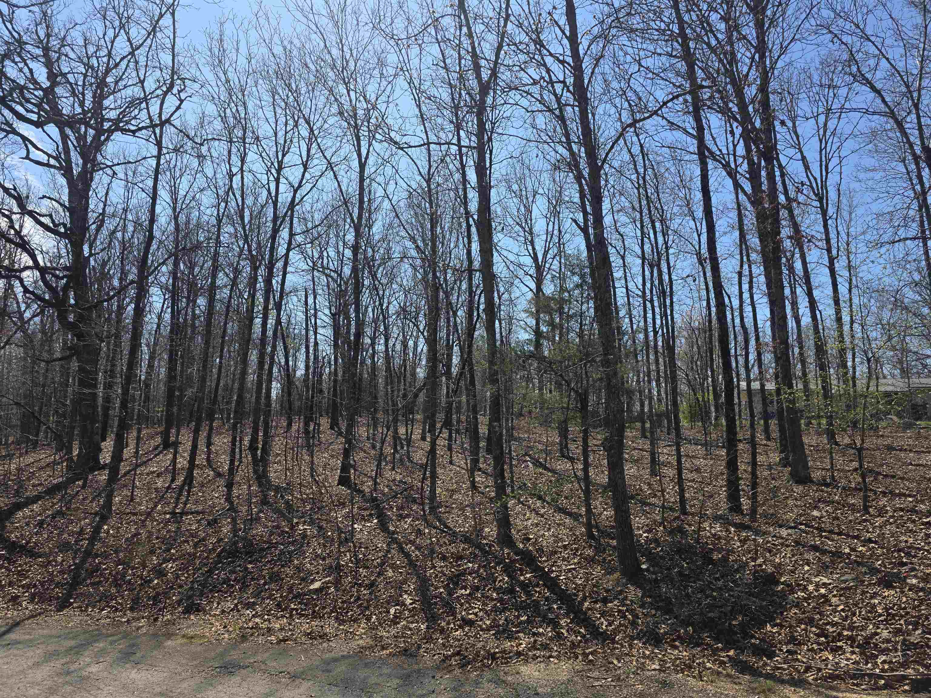 L12 B5 Deer Run  Cherokee Village, AR