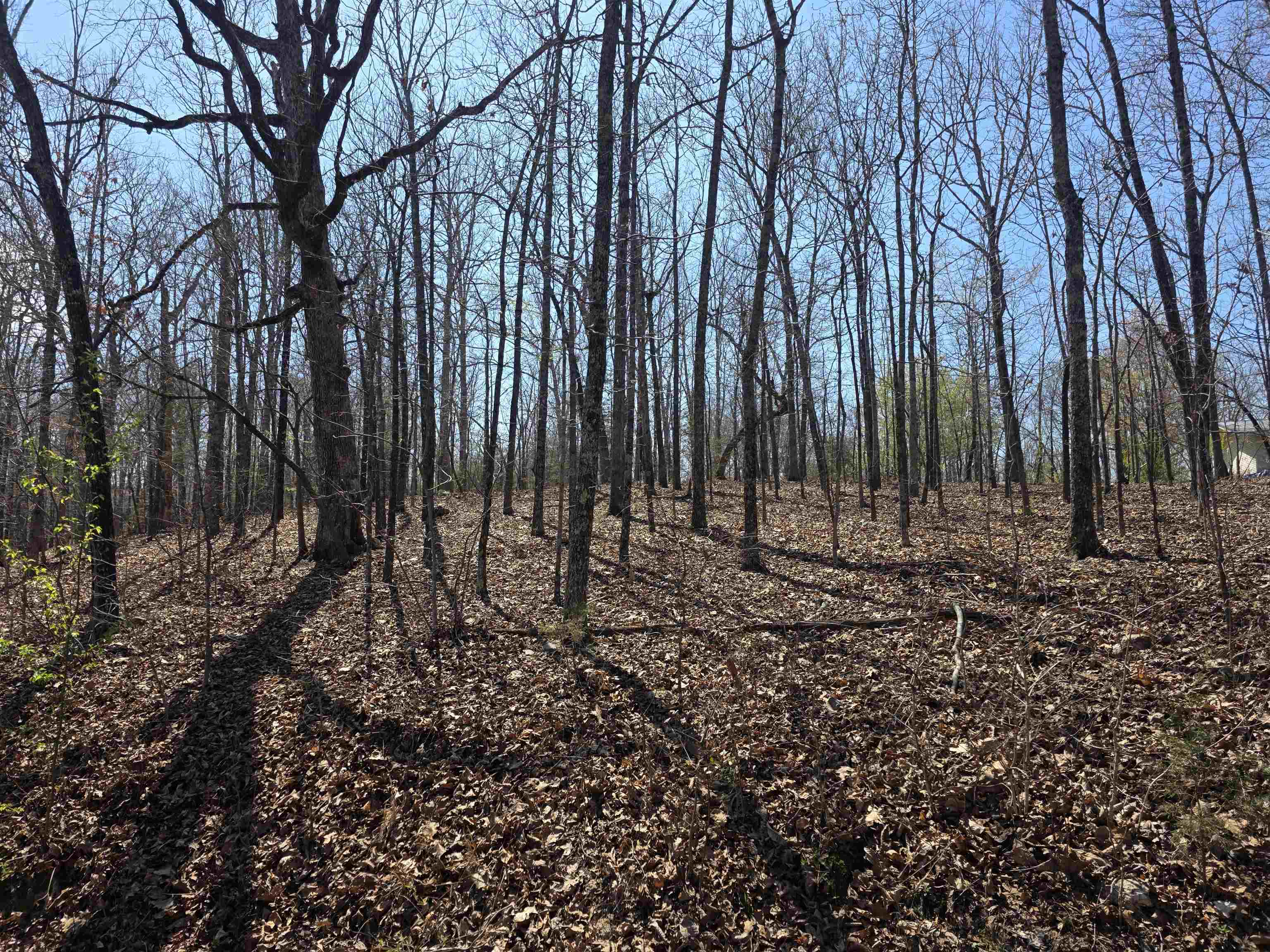 L12 B5 Deer Run  Cherokee Village, AR