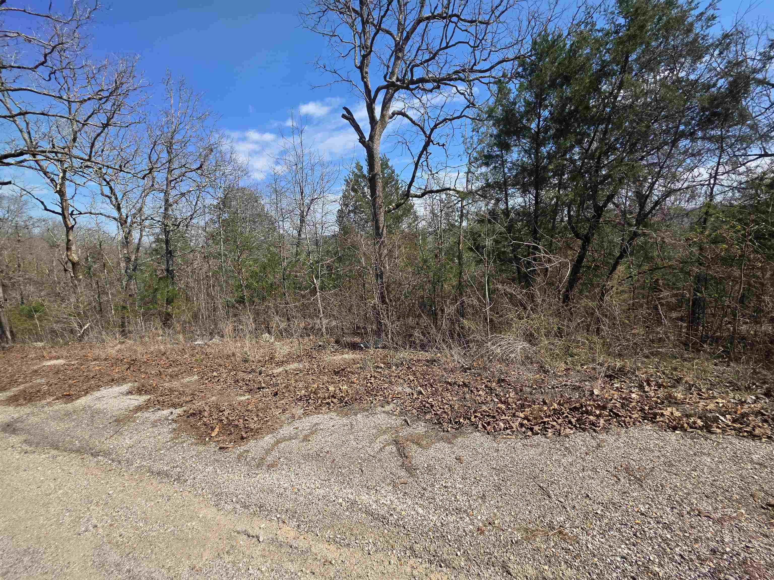 L13 B2 Deer Run  Cherokee Village, AR