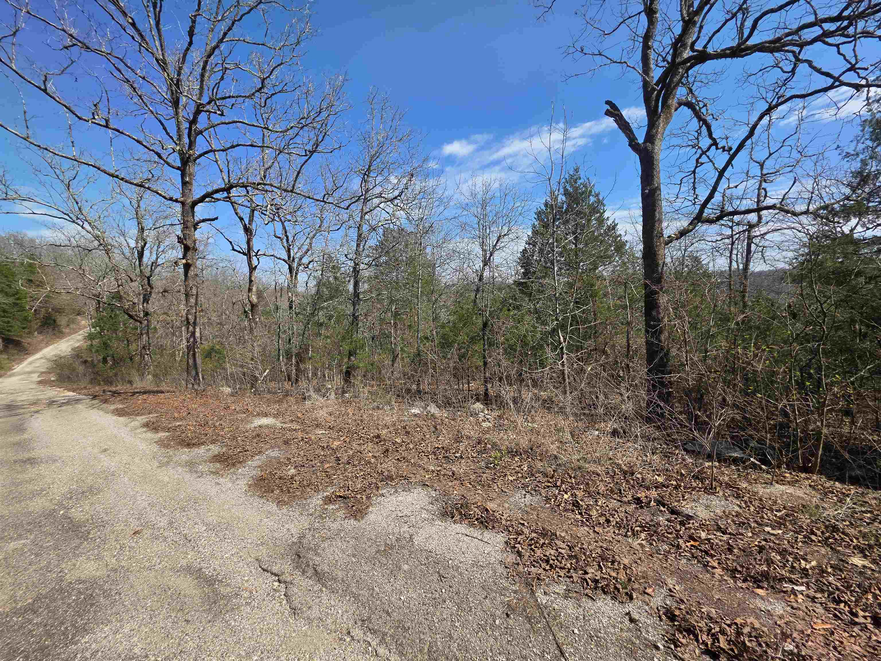 L13 B2 Deer Run  Cherokee Village, AR