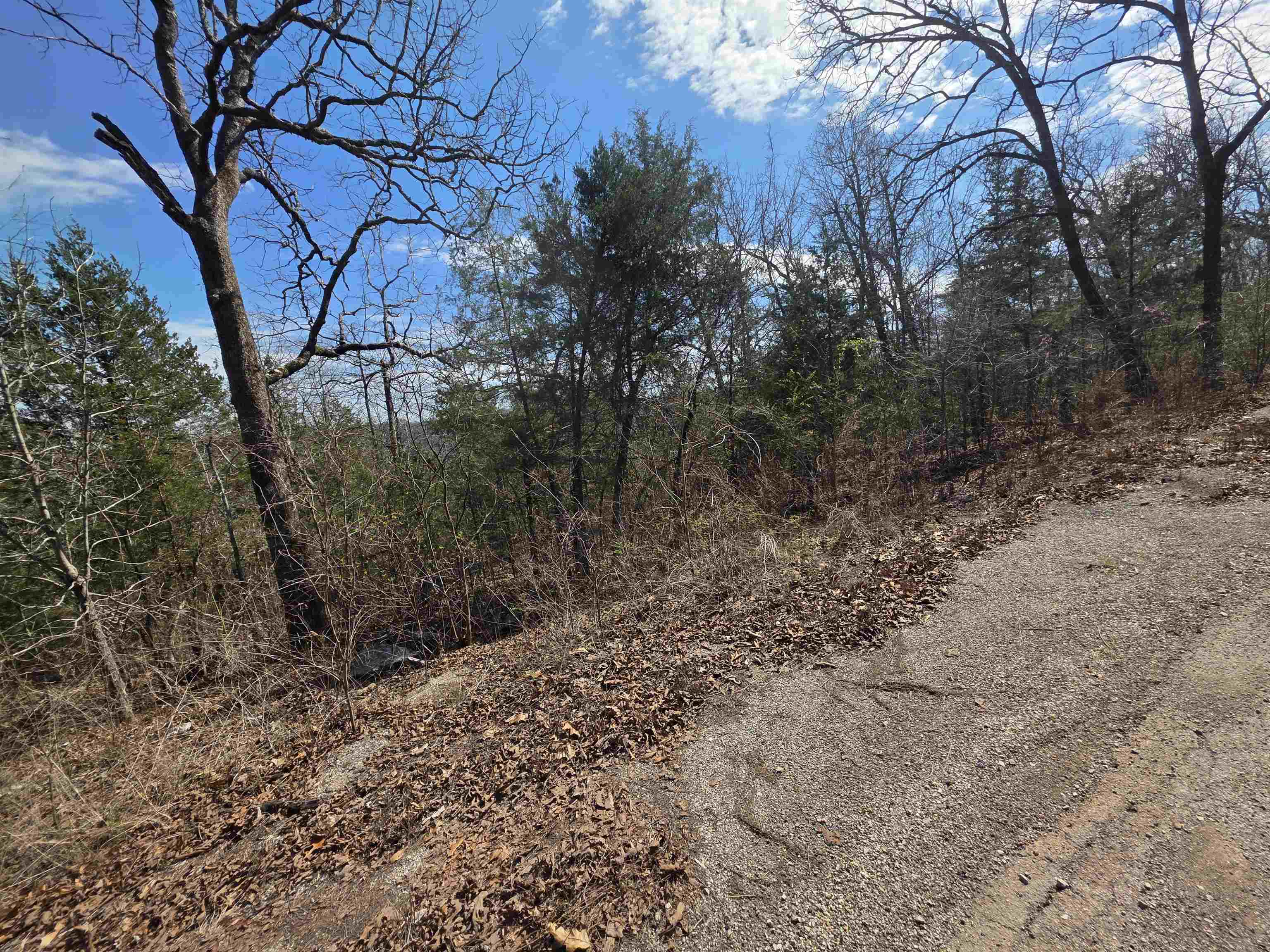 L13 B2 Deer Run  Cherokee Village, AR