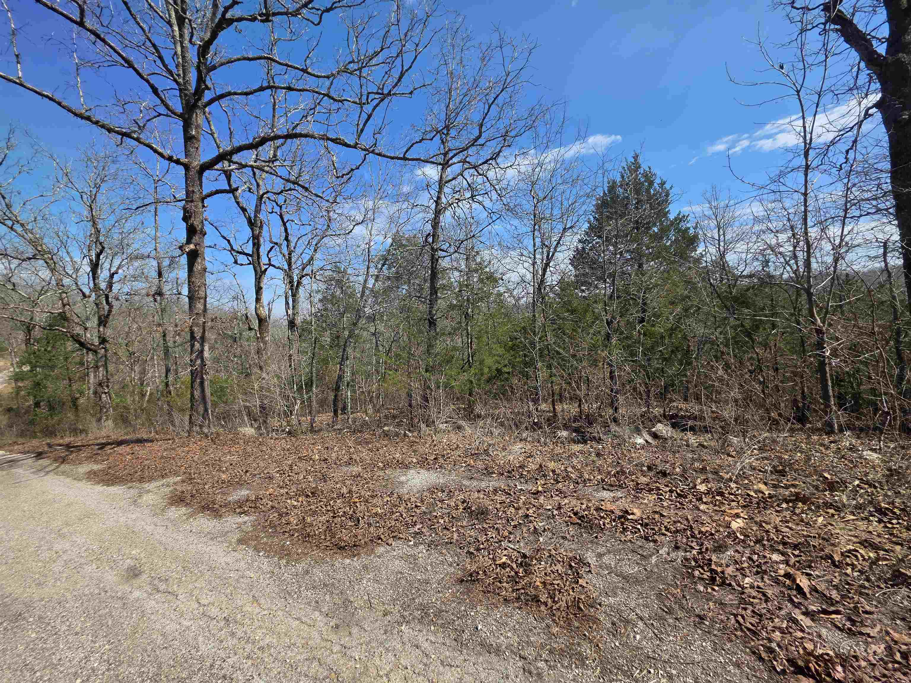 L13 B2 Deer Run  Cherokee Village, AR