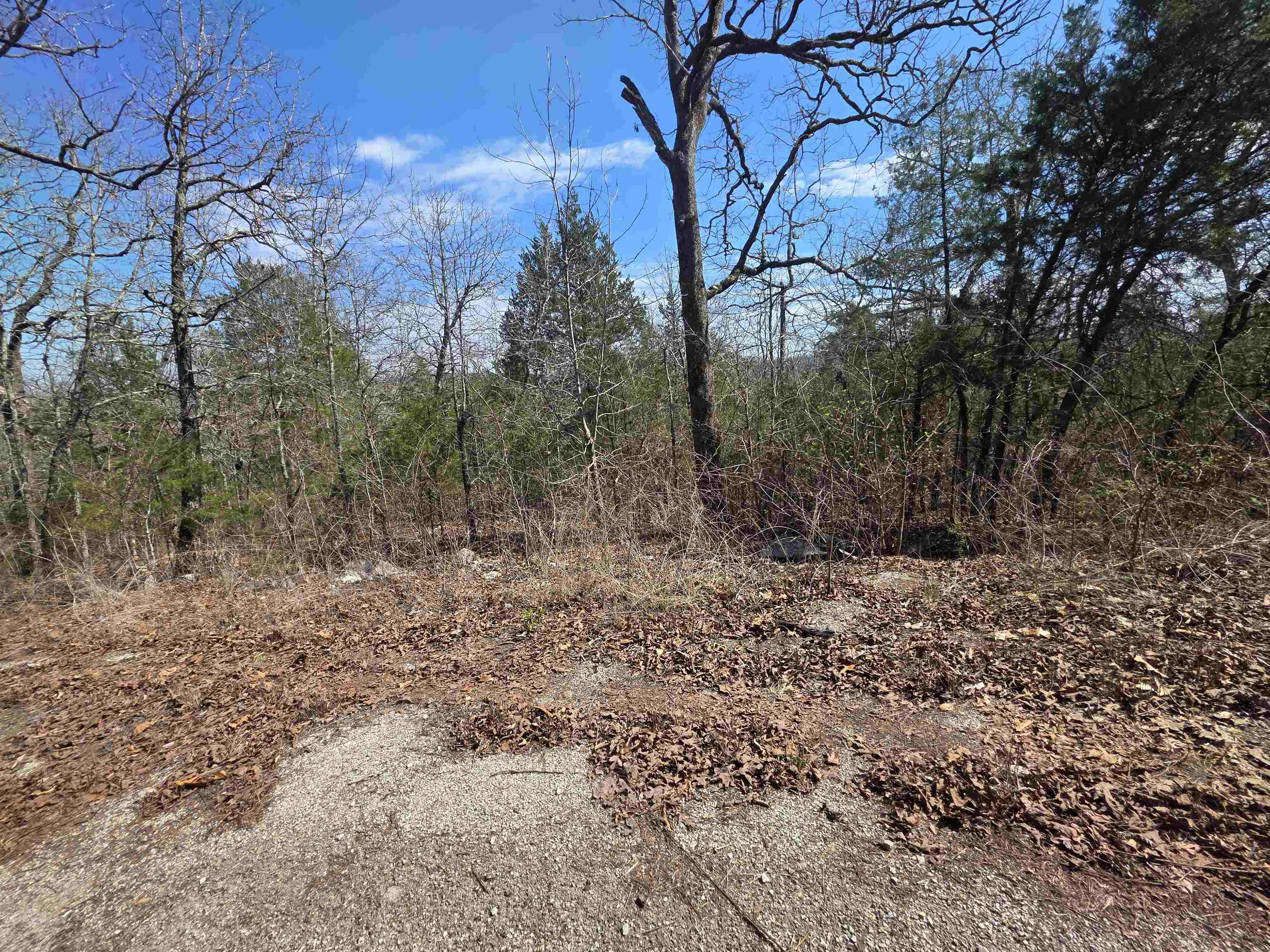 L13 B2 Deer Run  Cherokee Village, AR