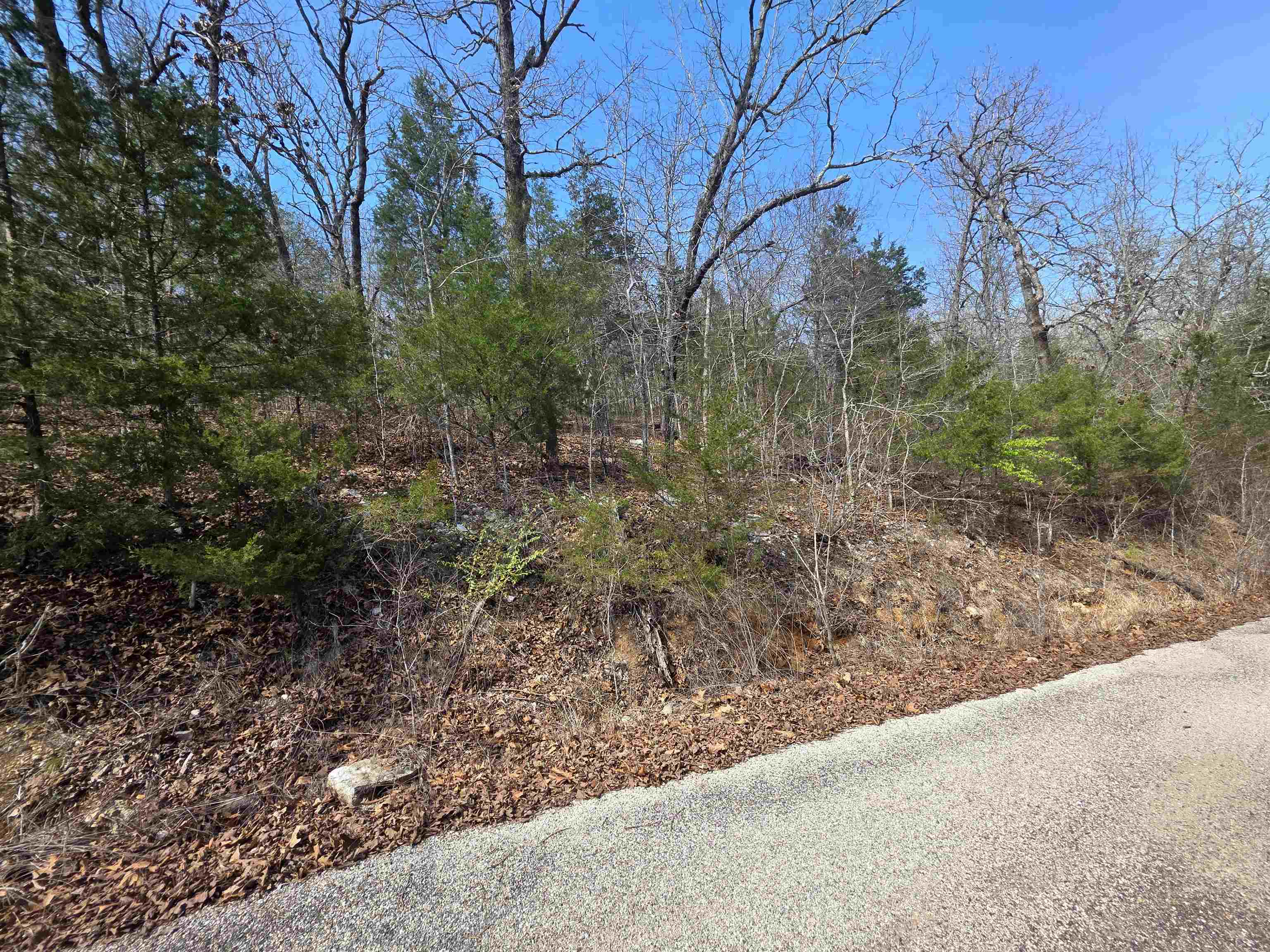 L12 B1 Deer Run  Cherokee Village, AR