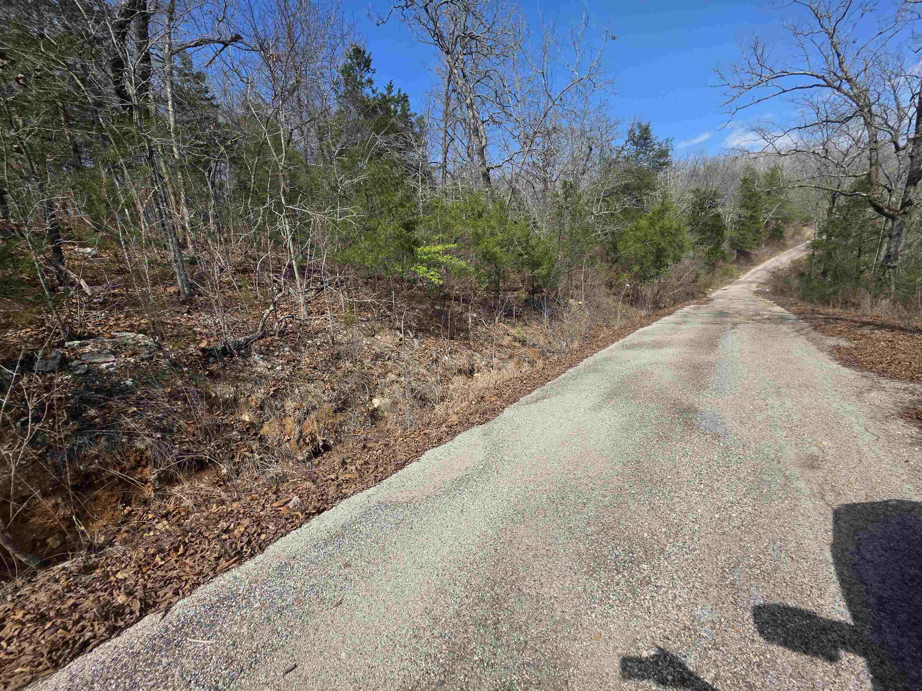 L12 B1 Deer Run  Cherokee Village, AR