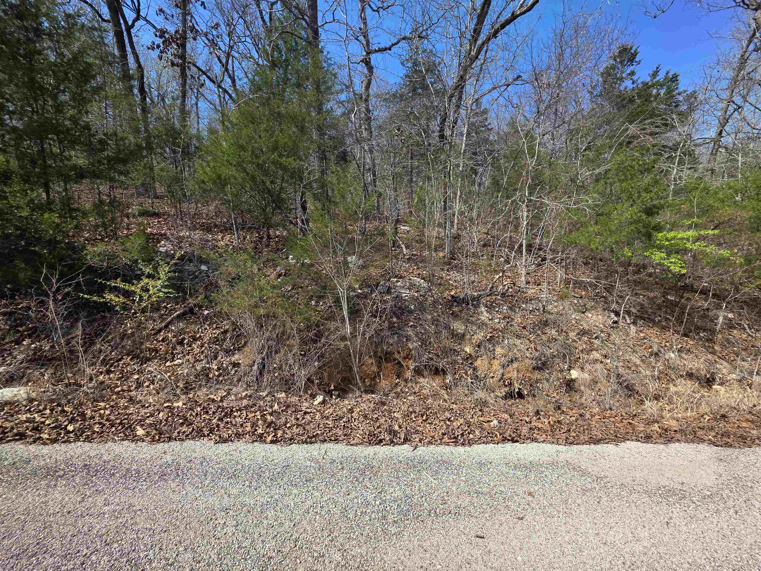 L12 B1 Deer Run  Cherokee Village, AR