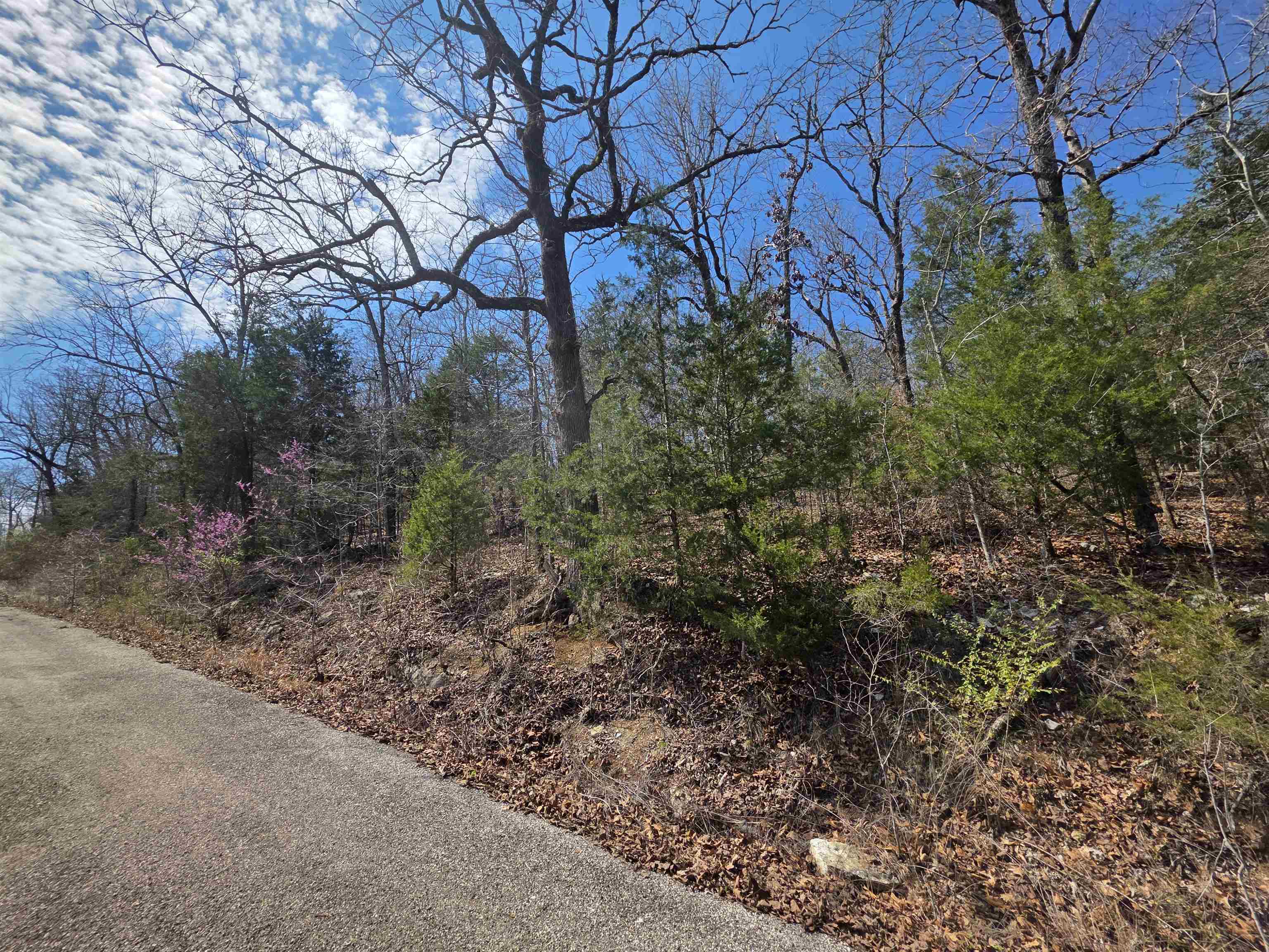 L12 B1 Deer Run  Cherokee Village, AR