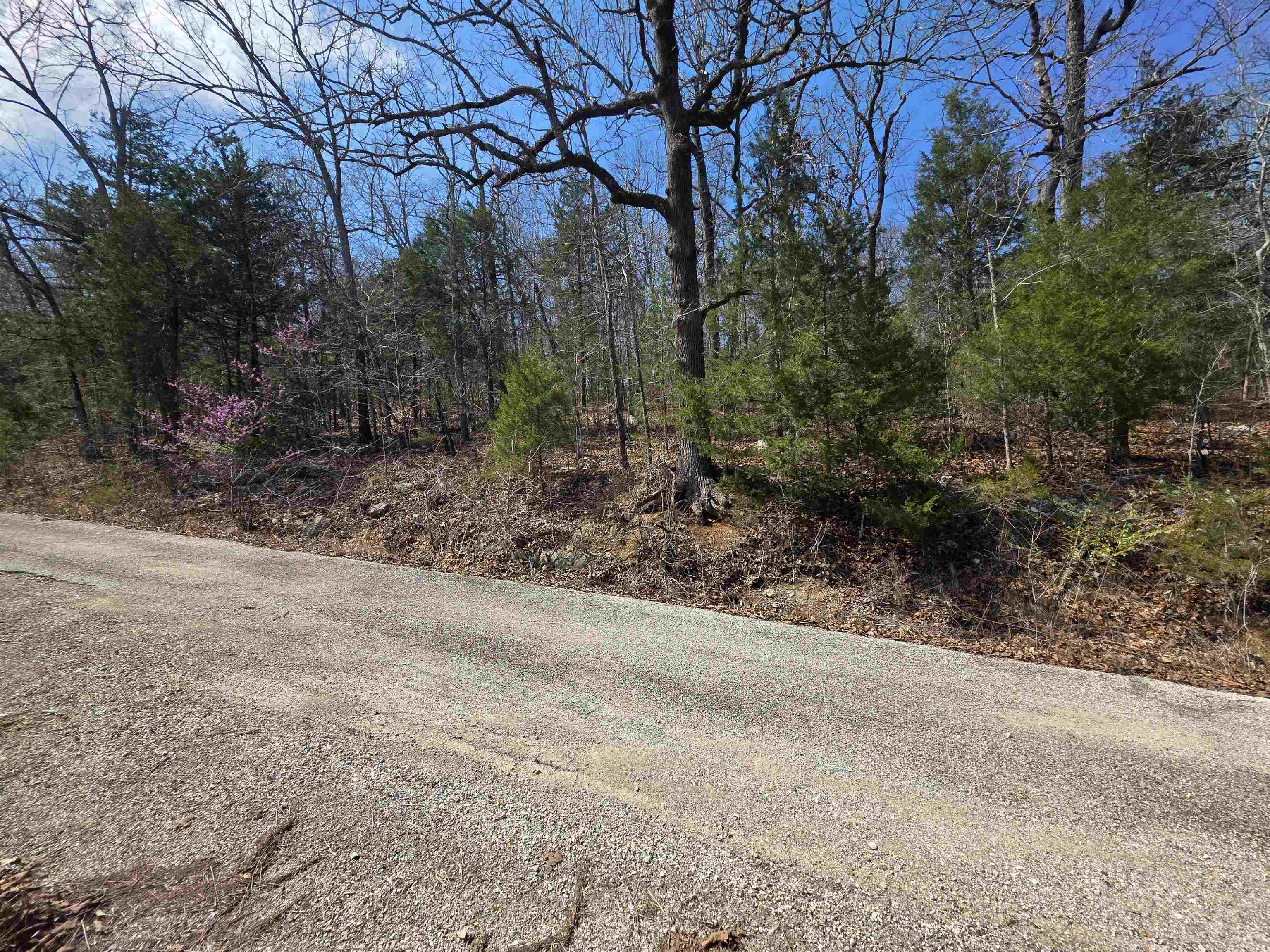 L12 B1 Deer Run  Cherokee Village, AR