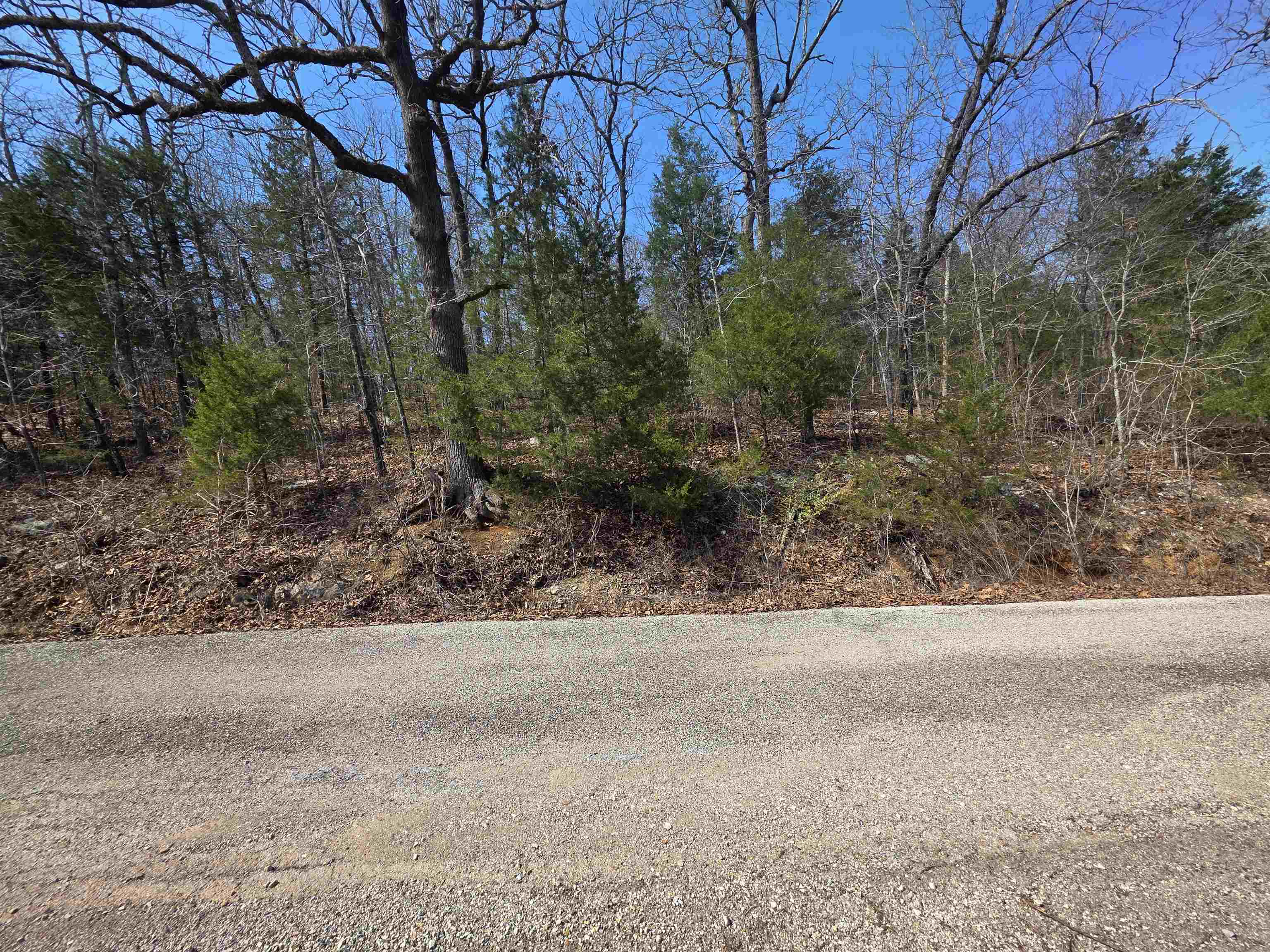 L12 B1 Deer Run  Cherokee Village, AR