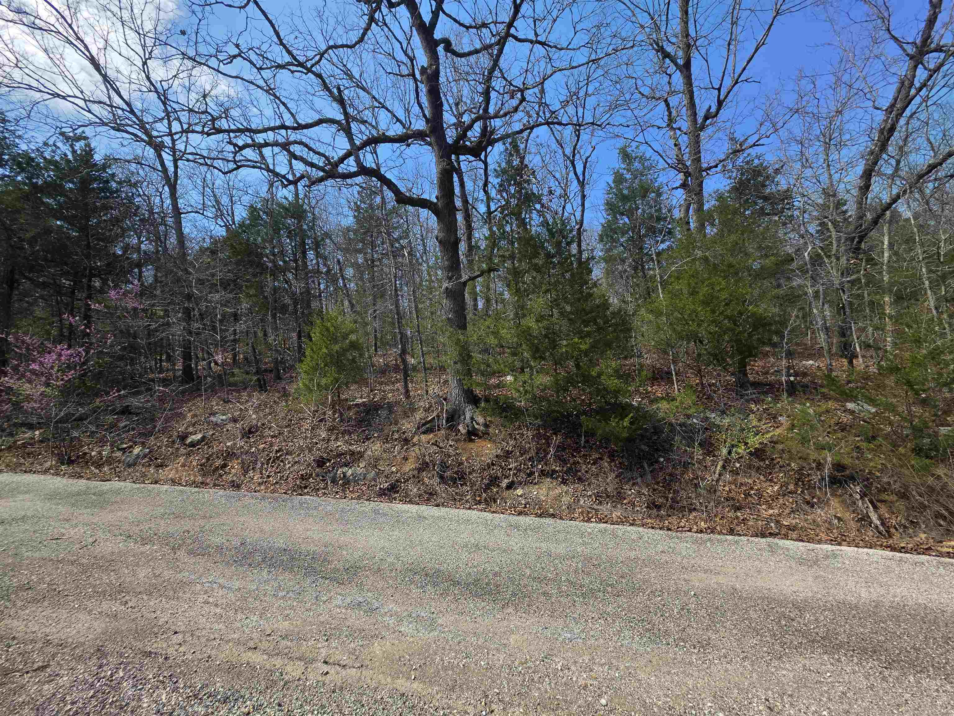 L12 B1 Deer Run  Cherokee Village, AR