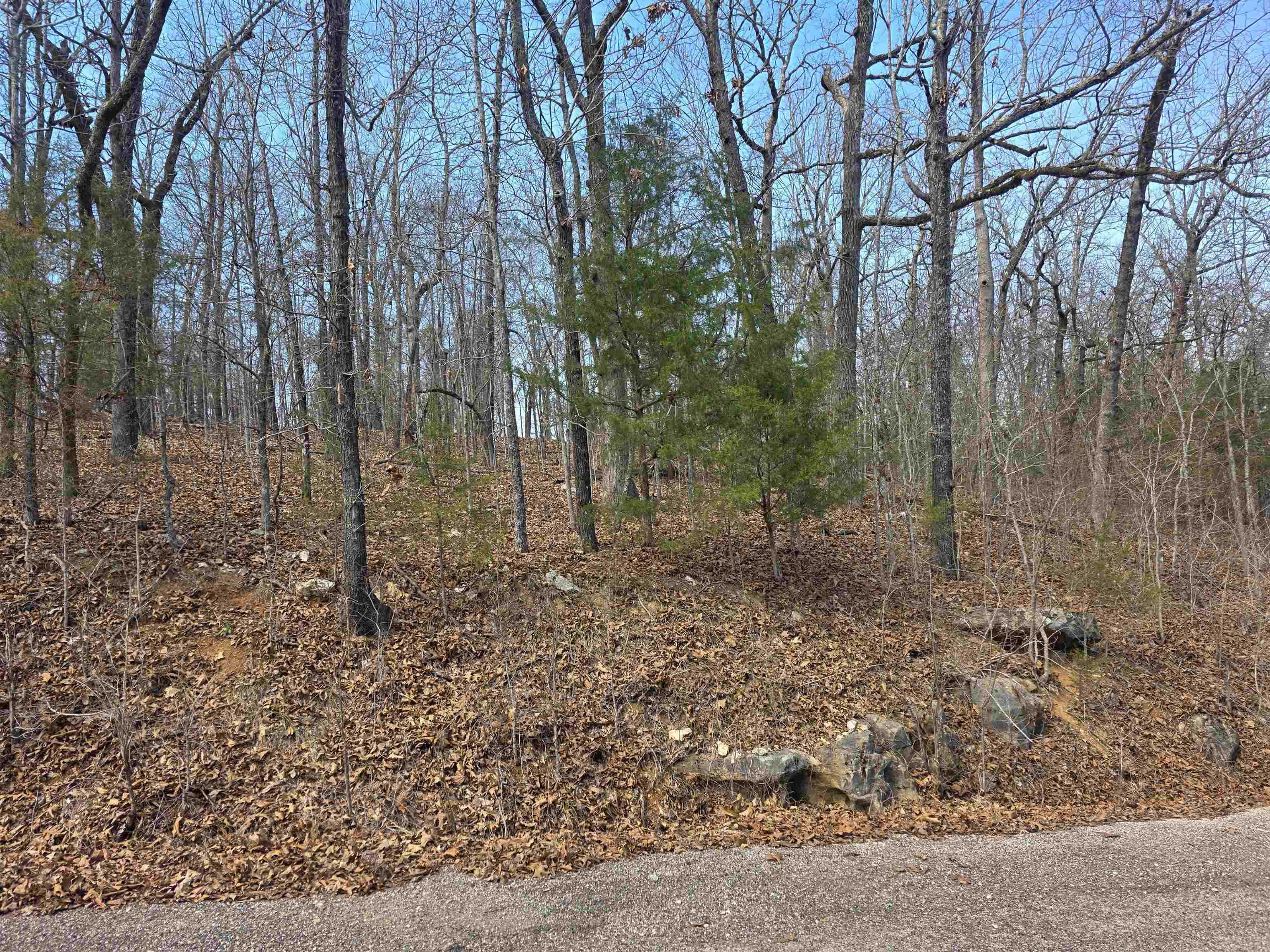 L6 B1 Deer Run  Cherokee Village, AR