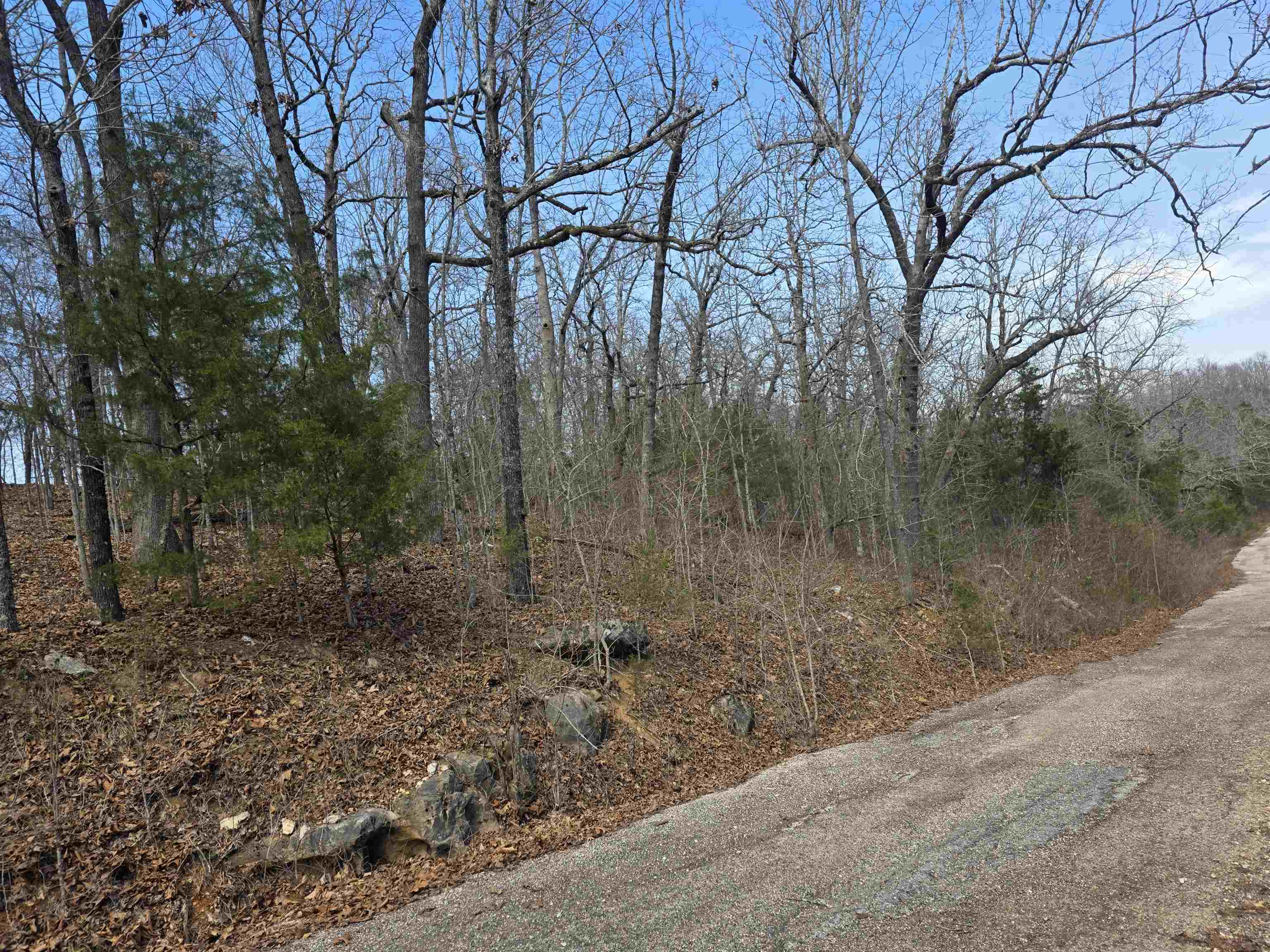 L6 B1 Deer Run  Cherokee Village, AR