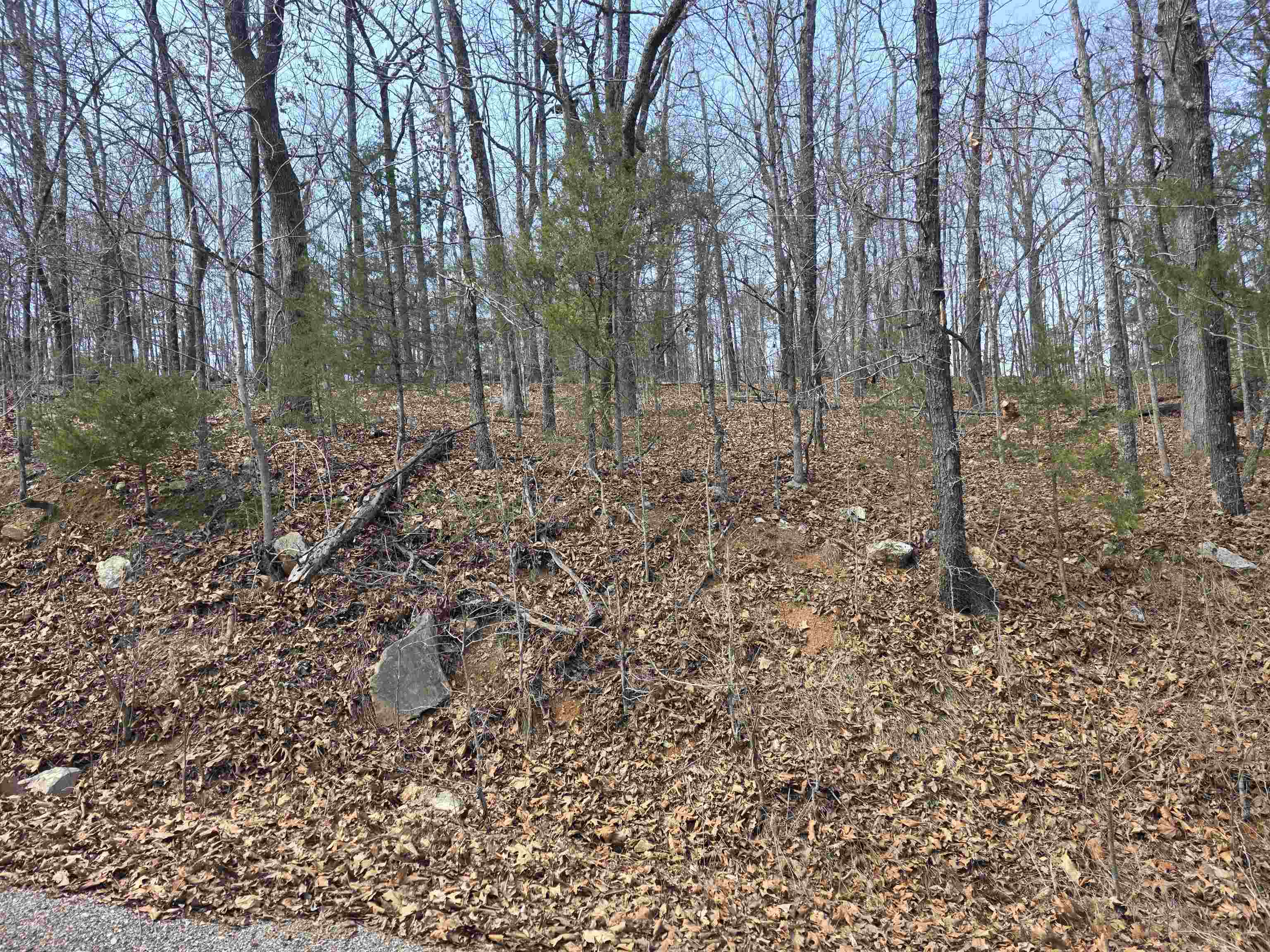 L6 B1 Deer Run  Cherokee Village, AR