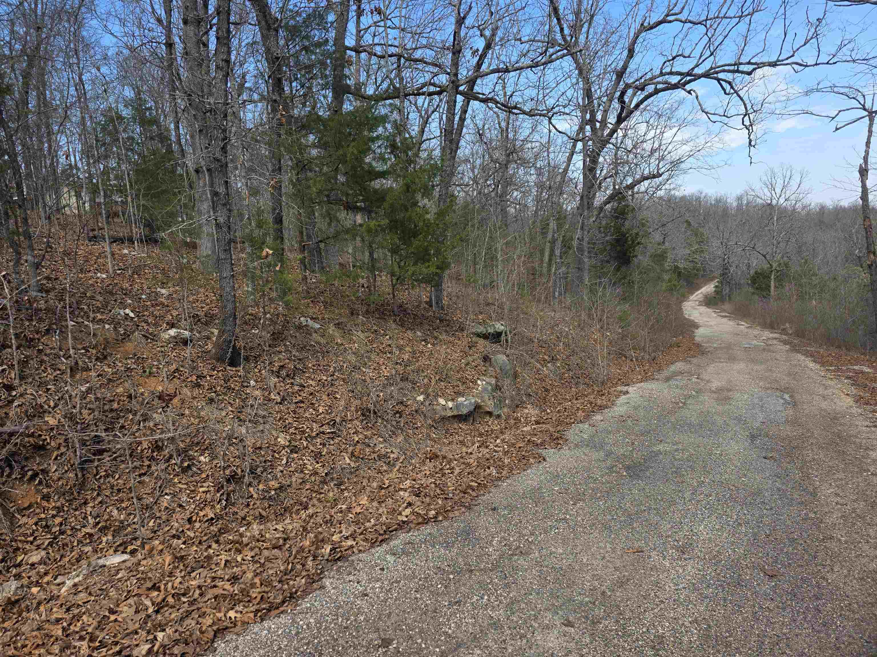 L6 B1 Deer Run  Cherokee Village, AR