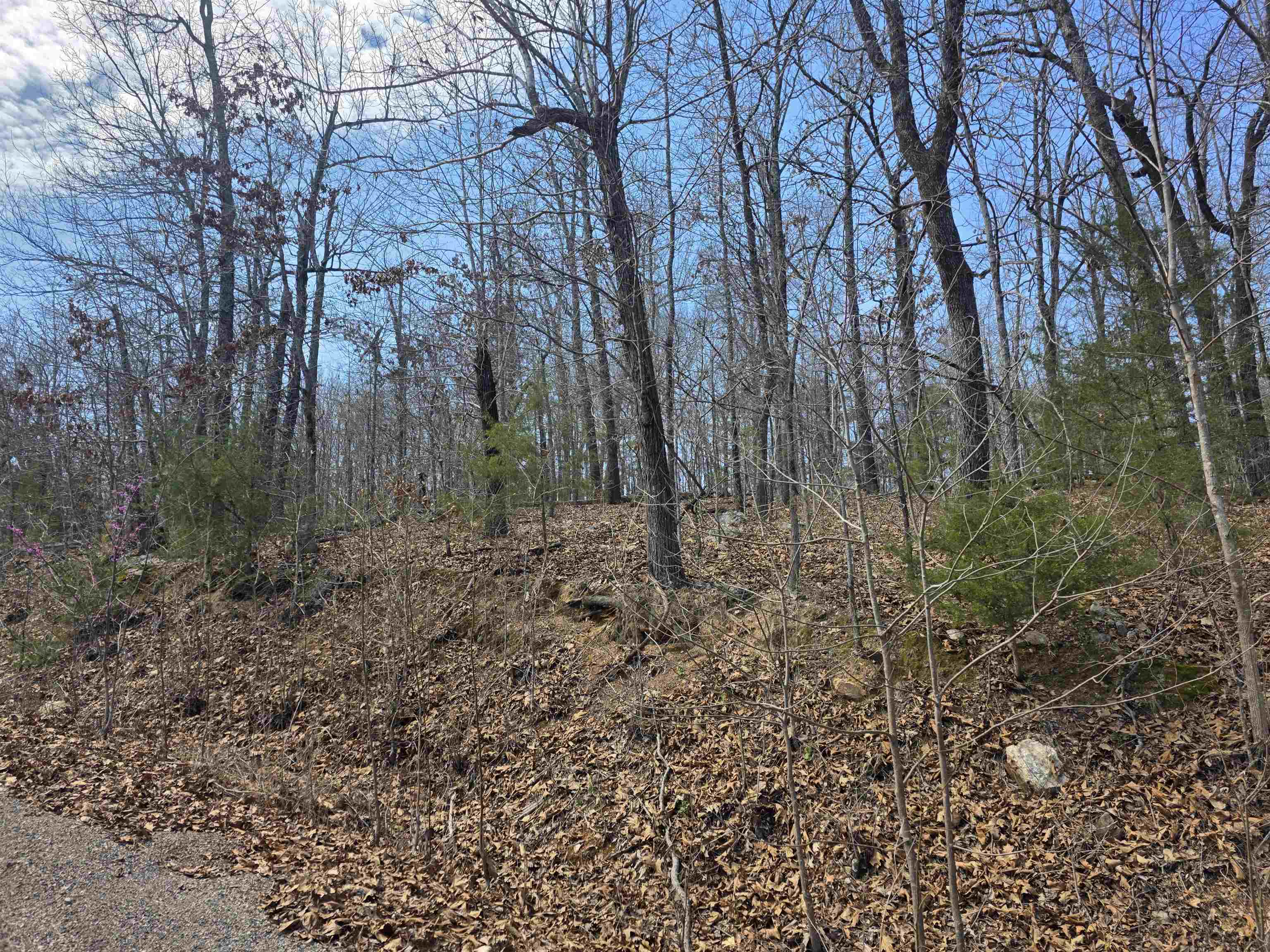 L6 B1 Deer Run  Cherokee Village, AR