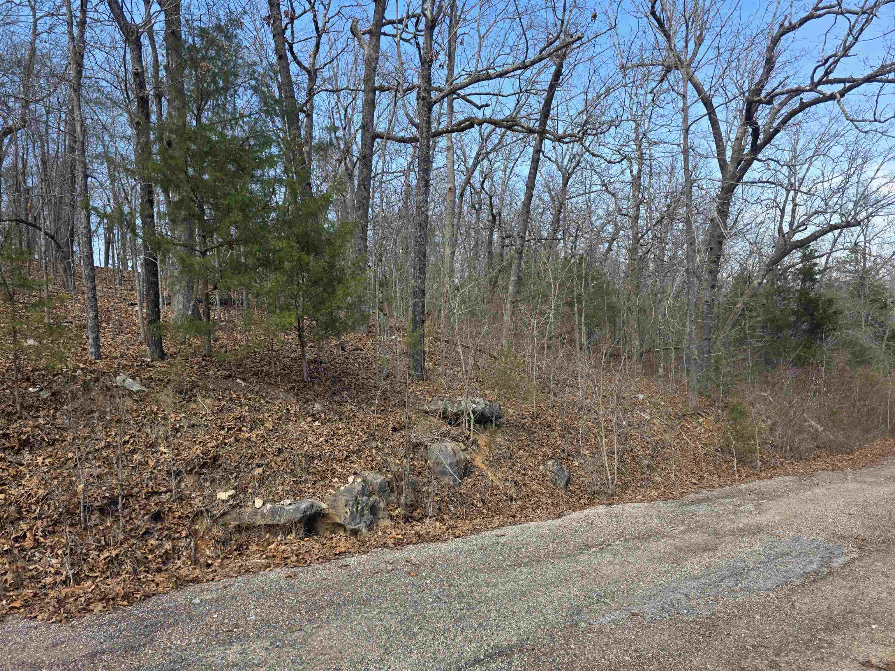 L6 B1 Deer Run  Cherokee Village, AR