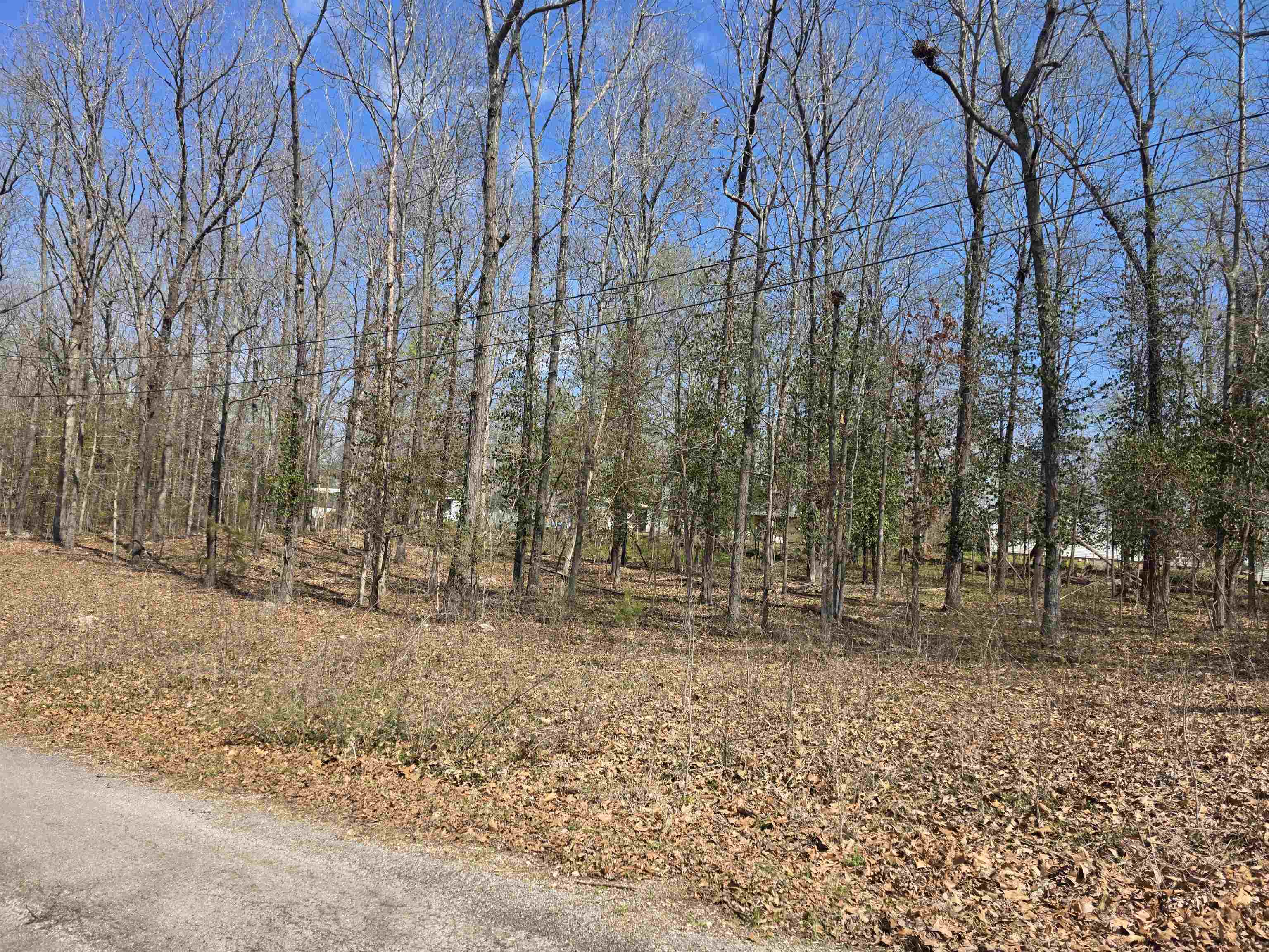 L23 B1 Apache  Cherokee Village, AR